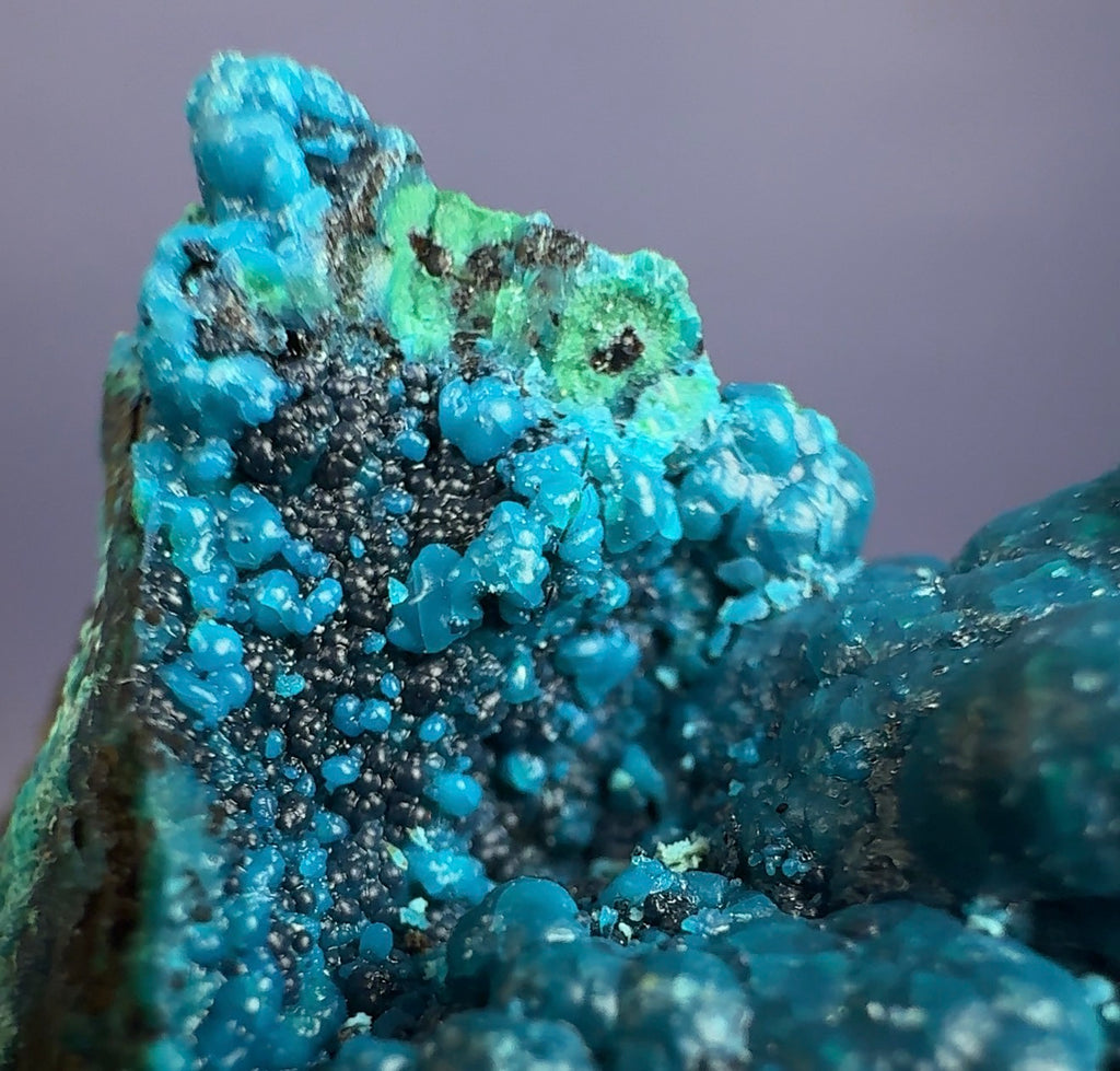 Auction Win: Chrysocolla (Botryoidal)