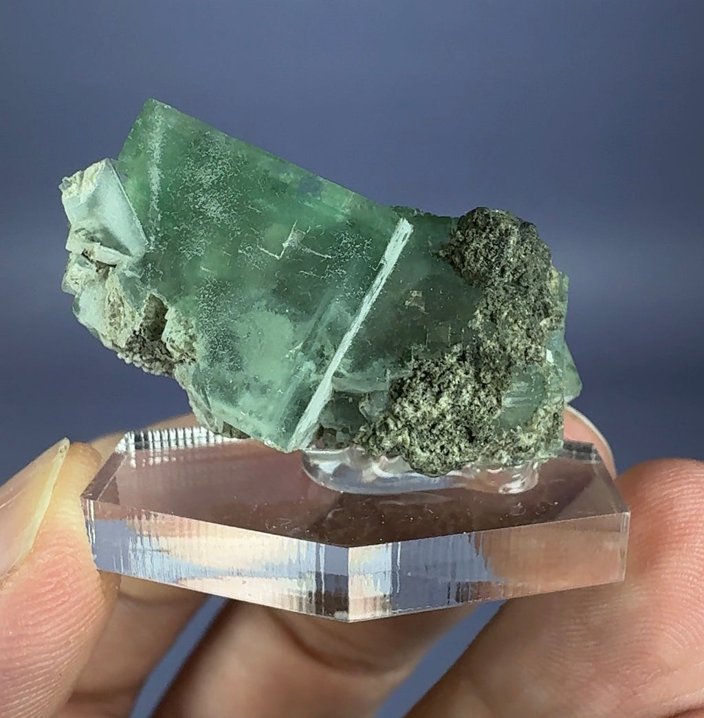 Auction Win: Fluorite (zoned)