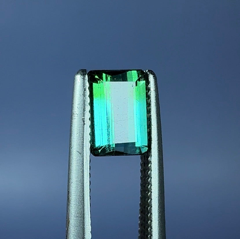 Auction Win: Indicolite-Elbaite Bi-color Tourmaline .60ct