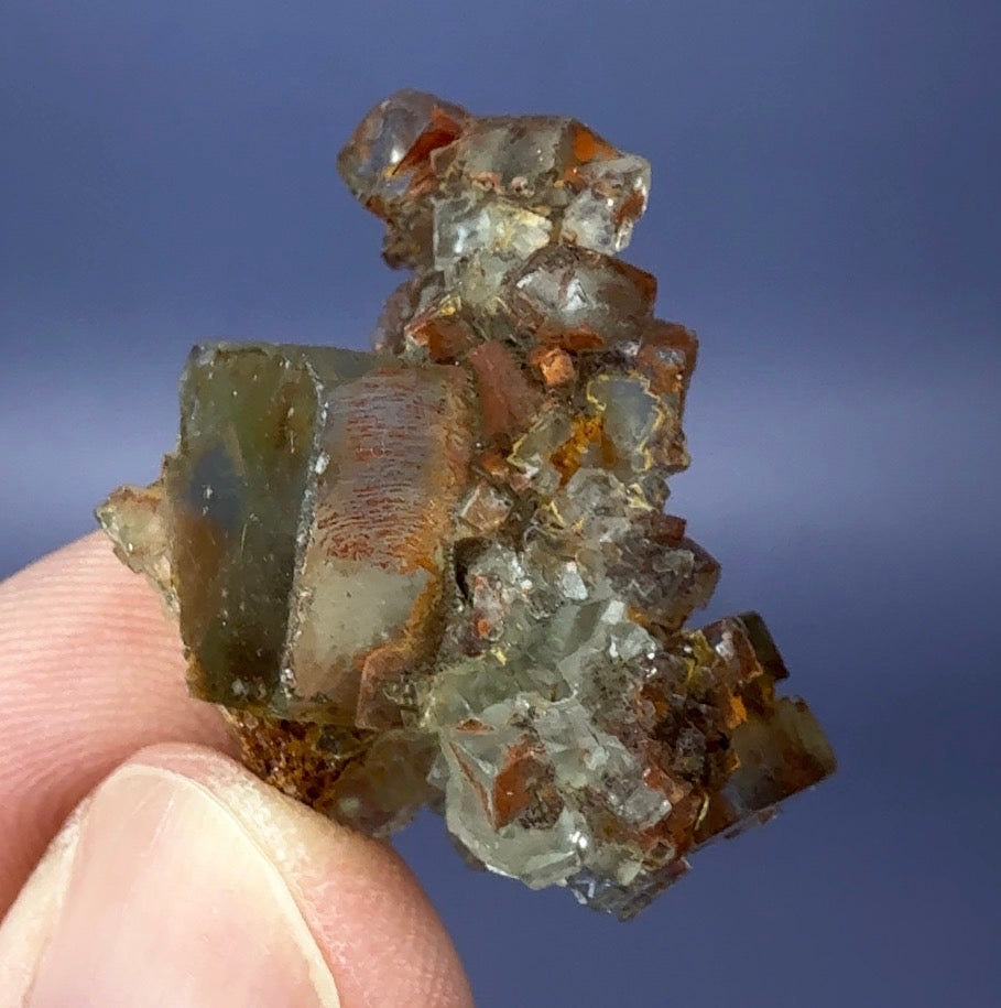 Auction Win: Fluorite