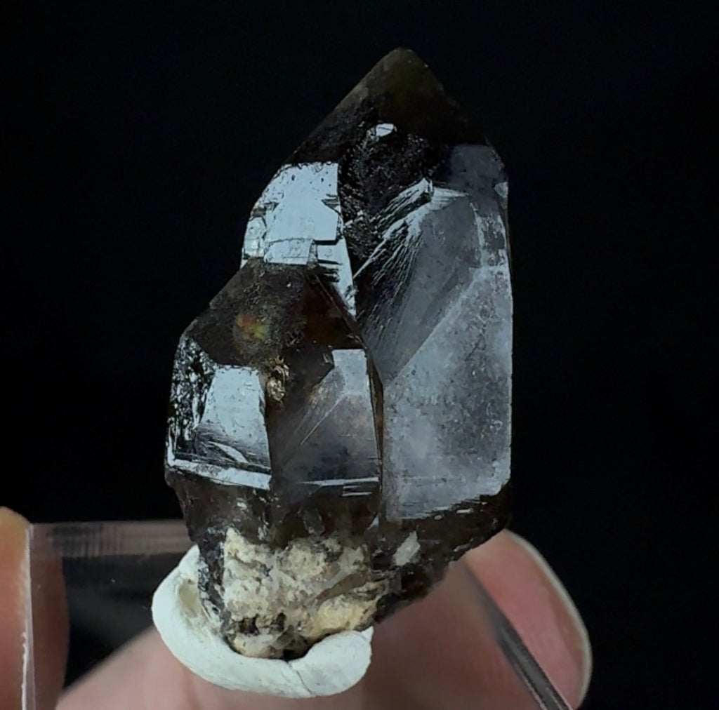 Auction Win: Quartz var. Smoky Quartz