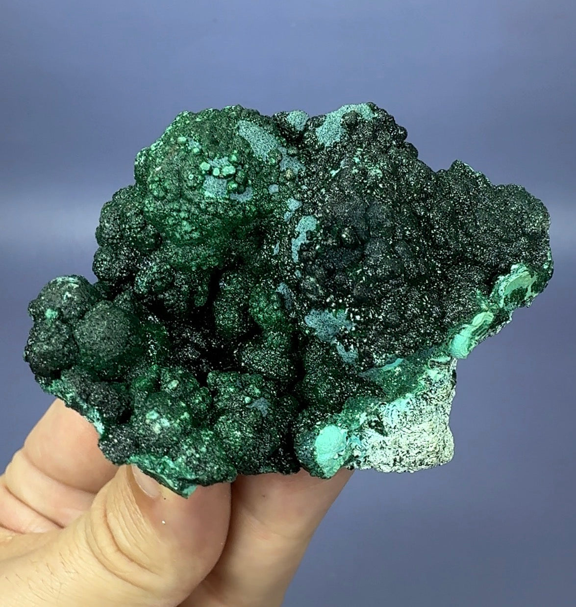 Libethenite and Malachite on Chrysocolla