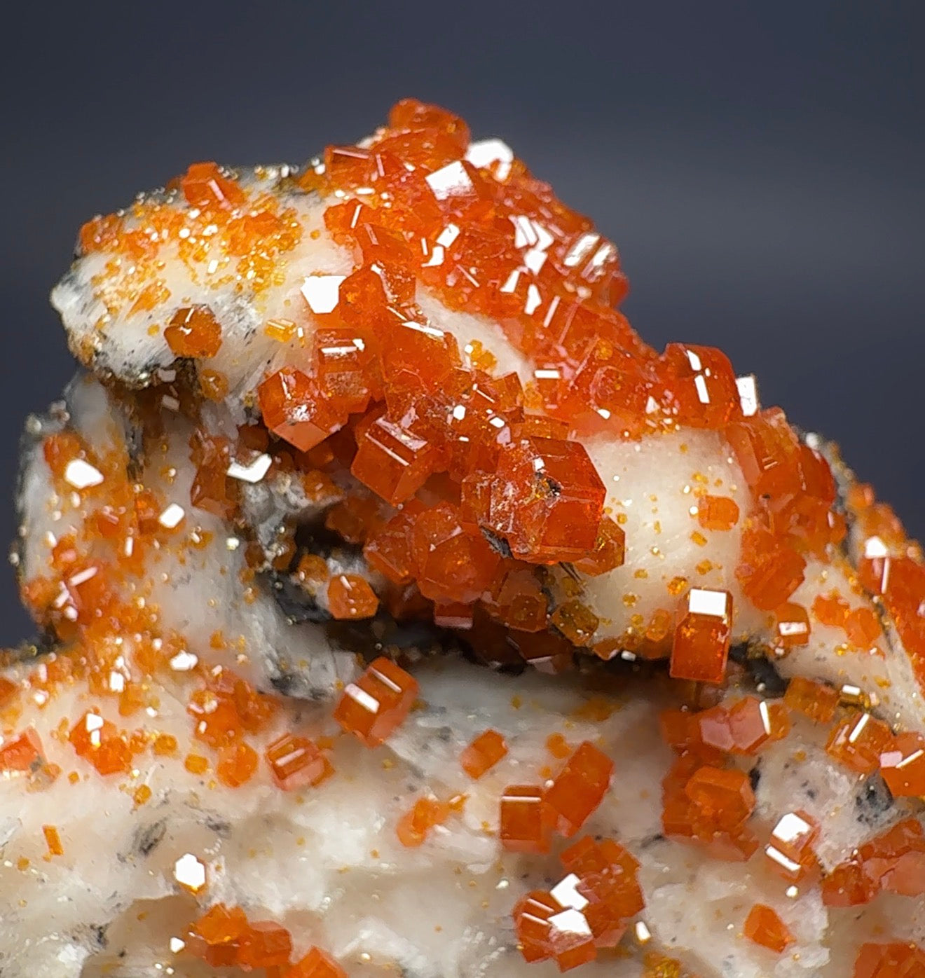 Auction Win: ‘Black Rose’ Vanadinite on Baryte (great color!)