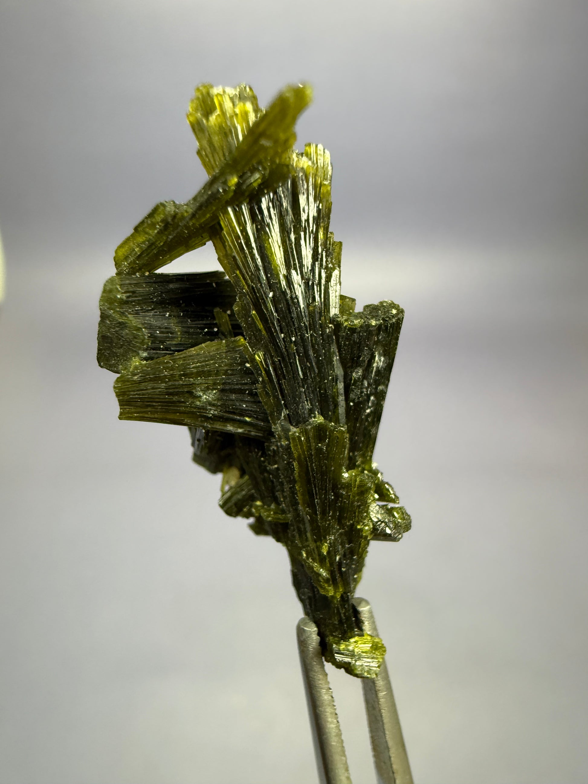 Auction Win: Epidote