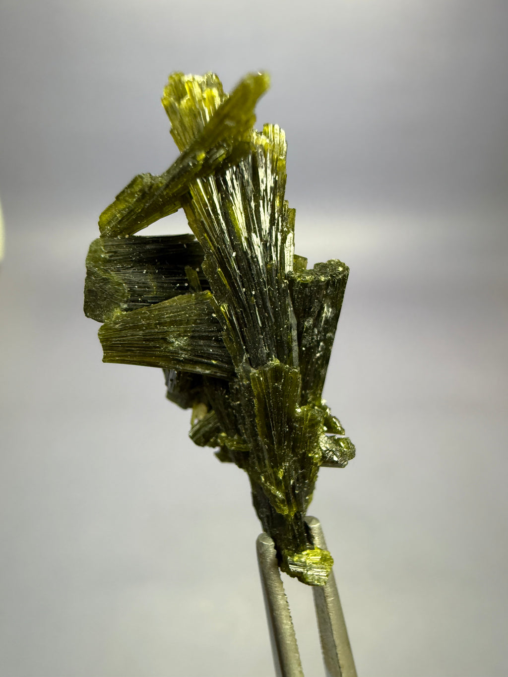 Auction Win: Epidote