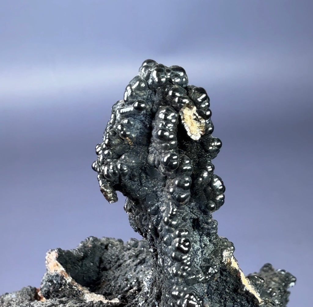 Auction Win: Goethite after Fluorite (stalactite)