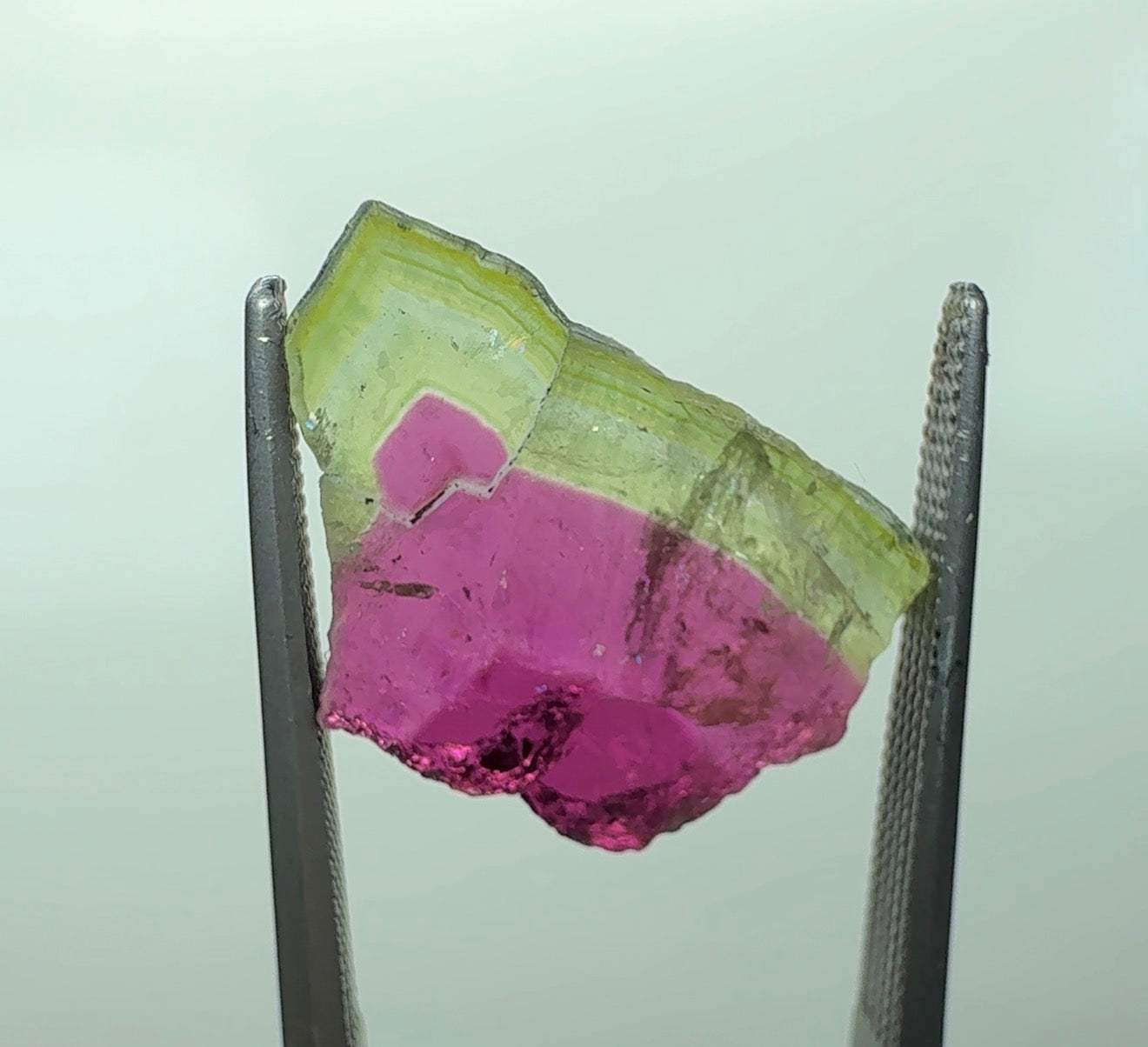 Auction Win: Watermelon Tourmaline Slice (complete & supurb color) 7.45ct