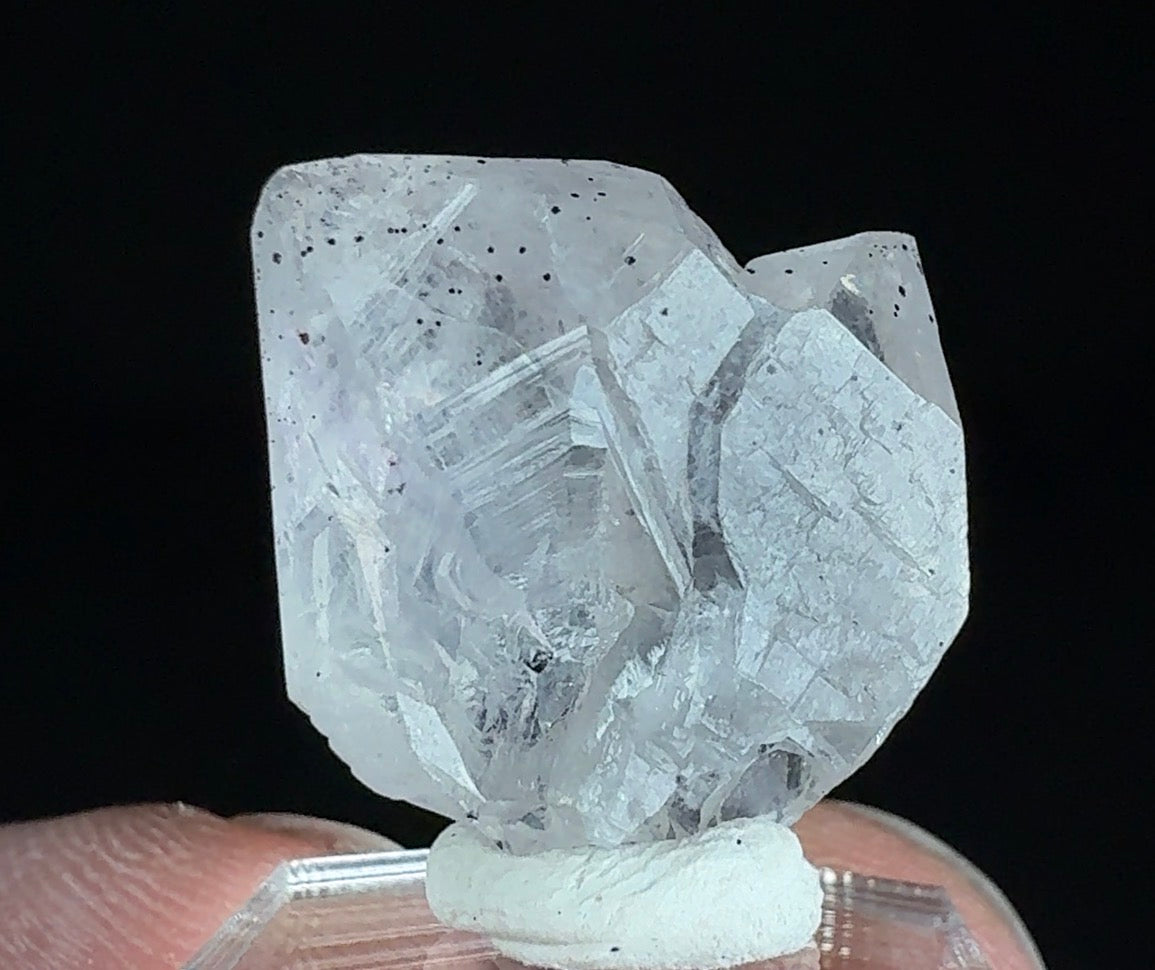 Auction Win: Quartz “Japan Law” Twin