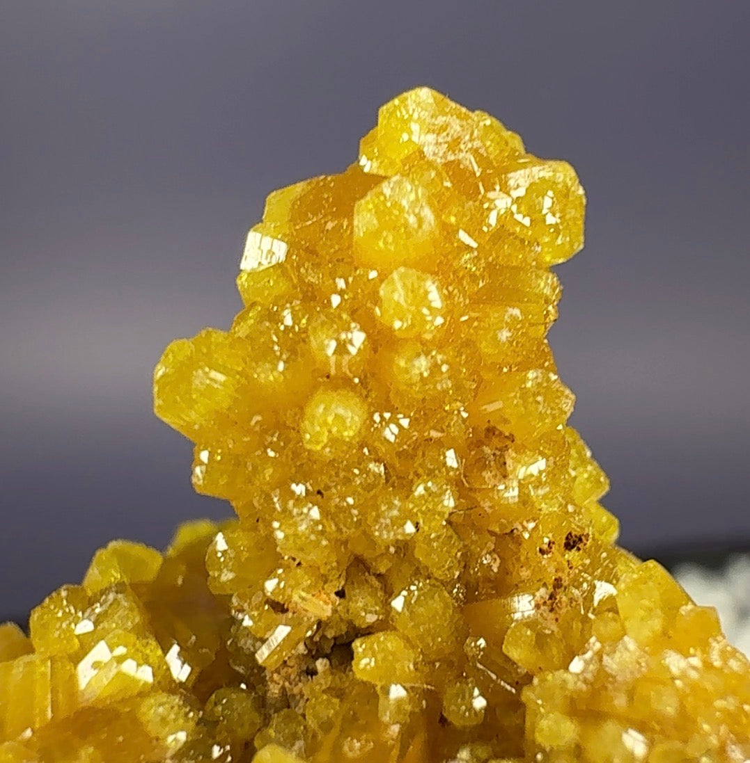 Auction Win: Pyromorphite (old American classic)