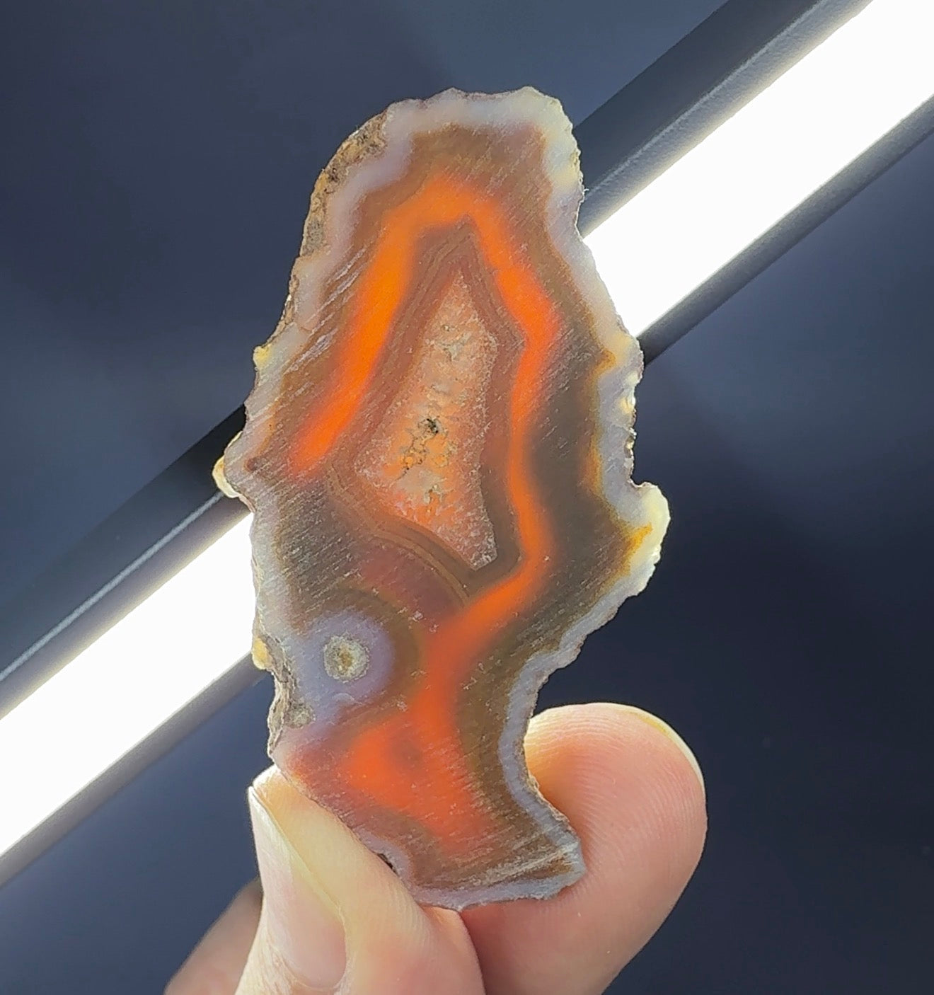 Auction Win: West Texas Agate