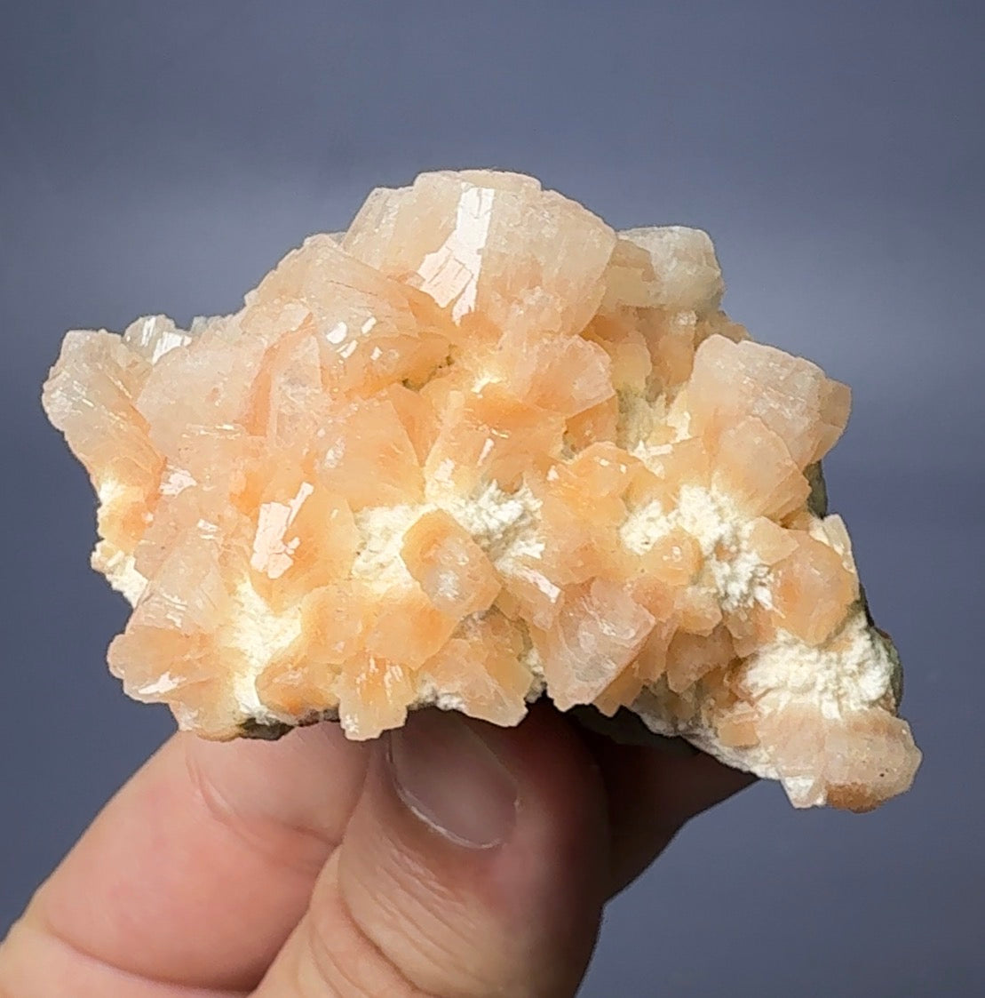 Auction Win: Heulandite on Mordenite (high luster & good color)