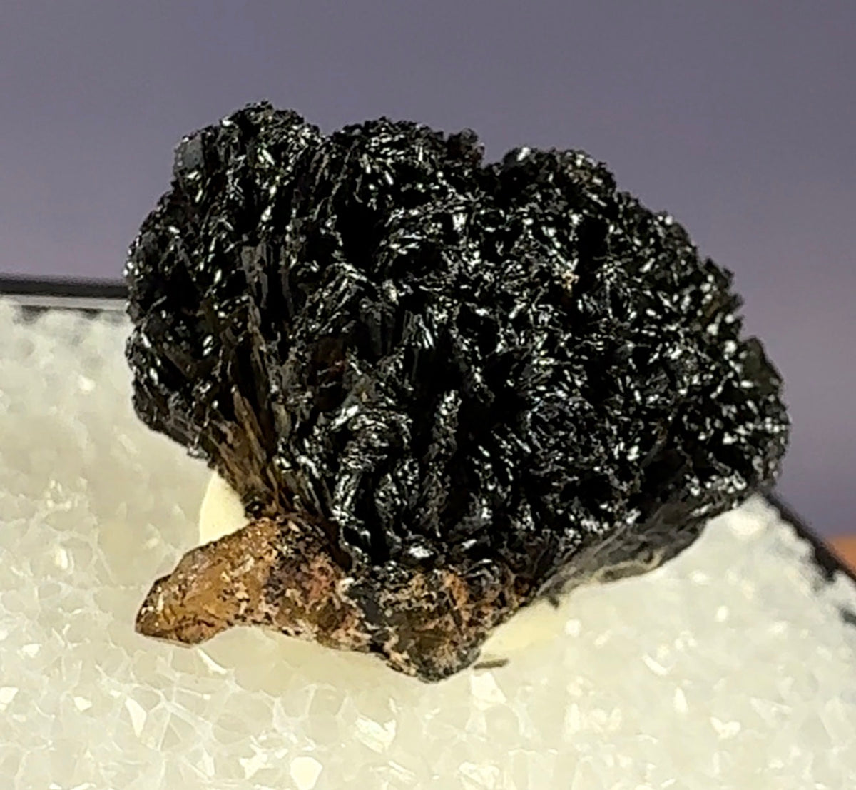 Auction Win: Goethite with Smoky Quartz