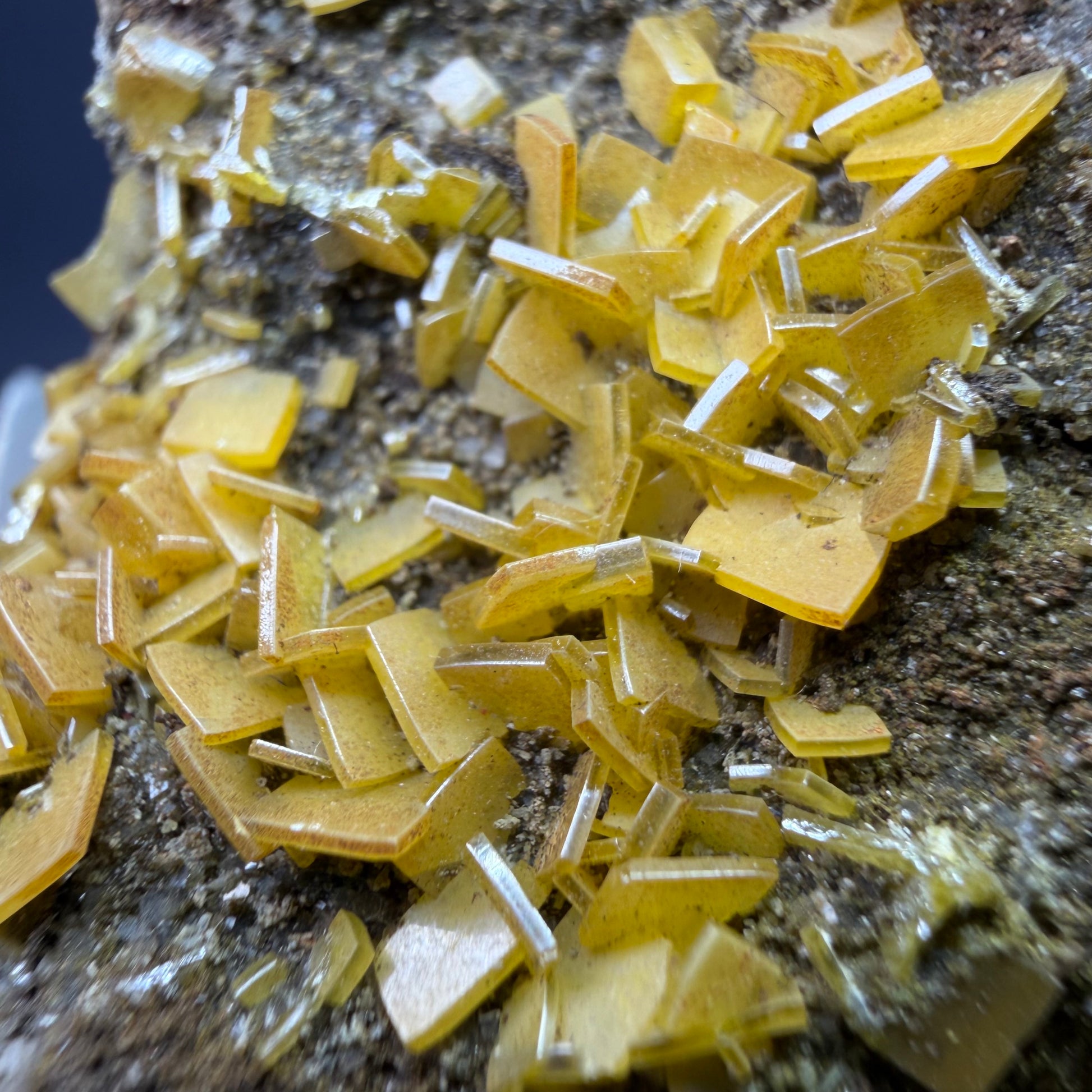 Auction Win: Wulfenite (Sandwich)
