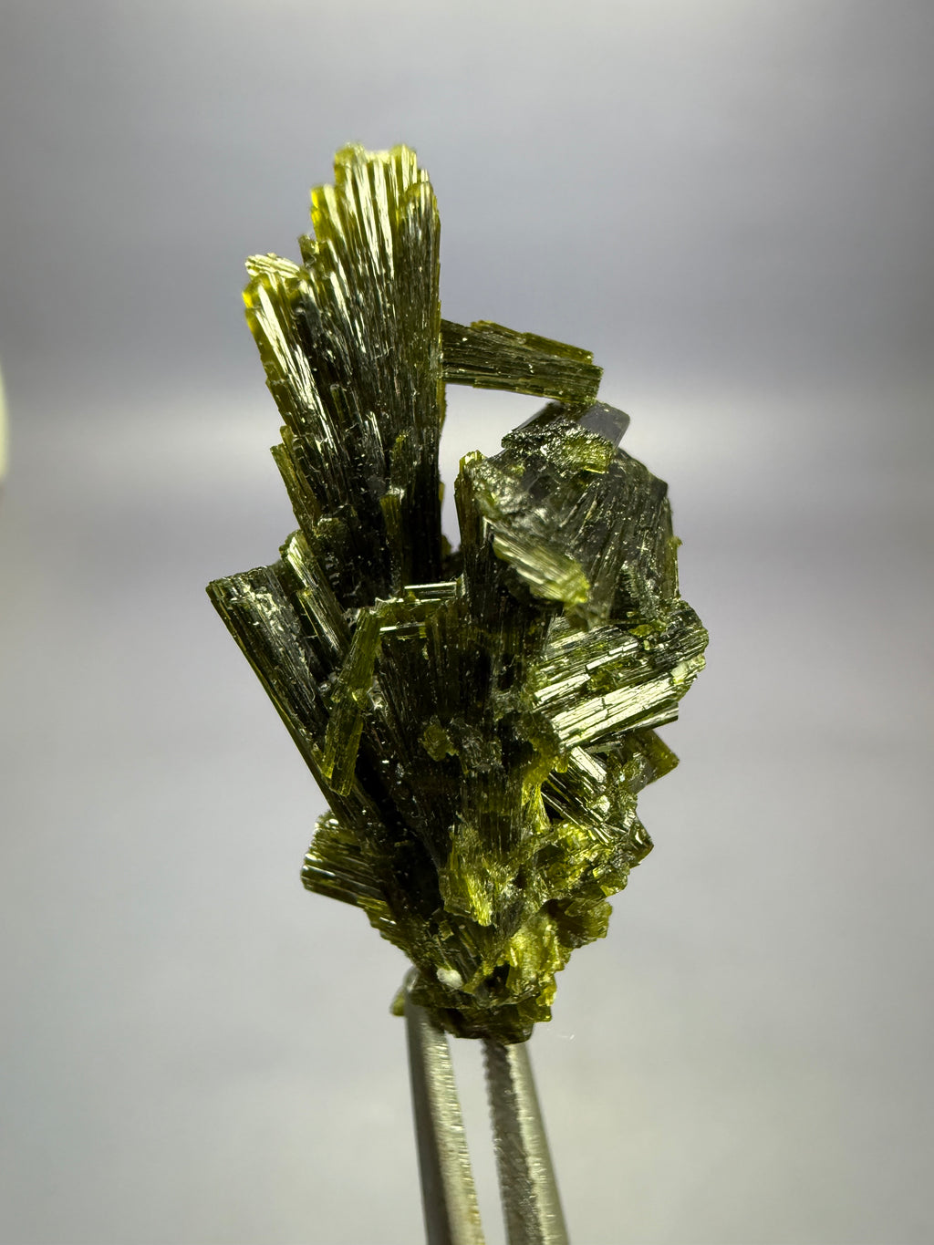 Auction Win: Epidote