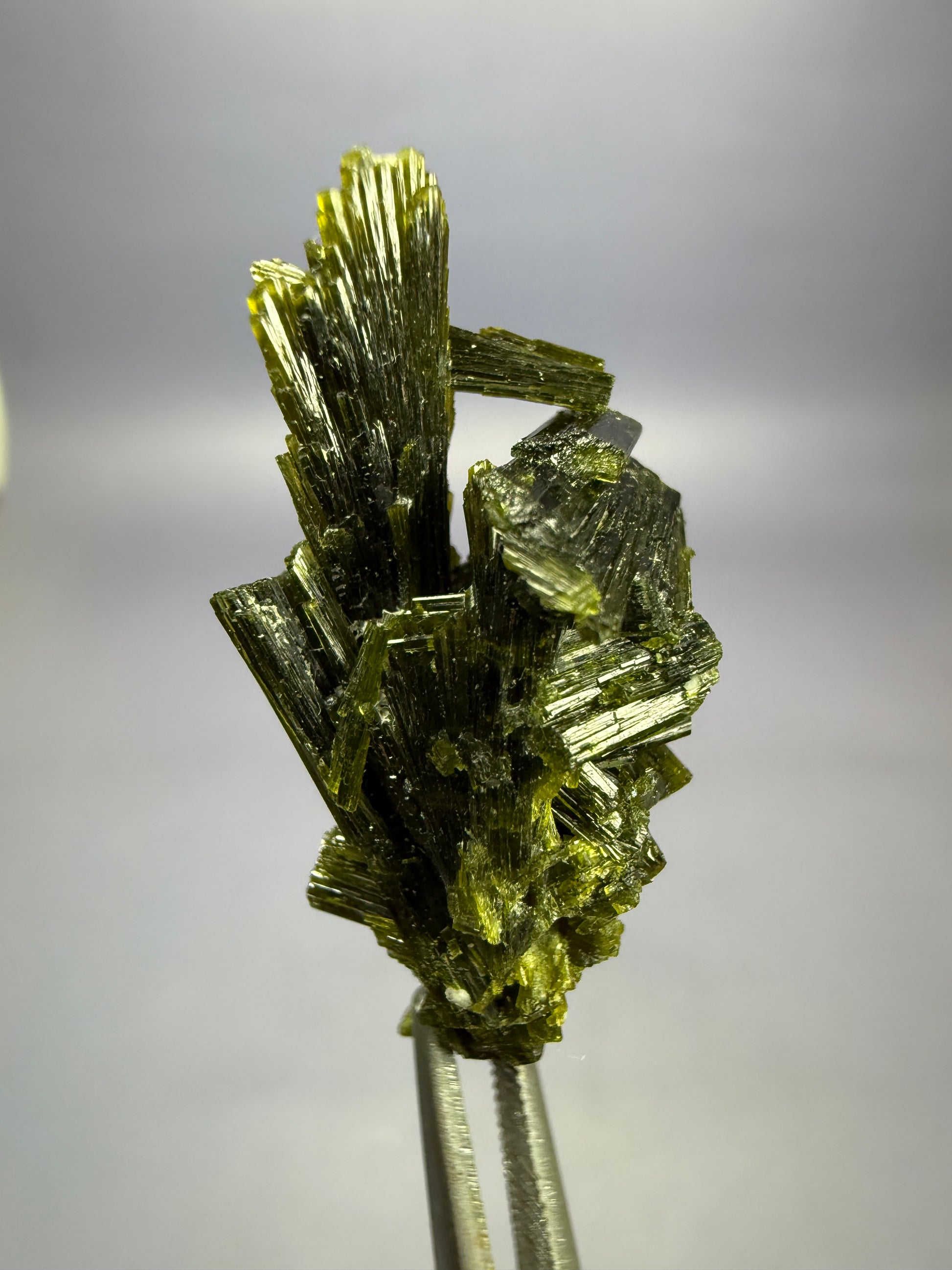 Auction Win: Epidote