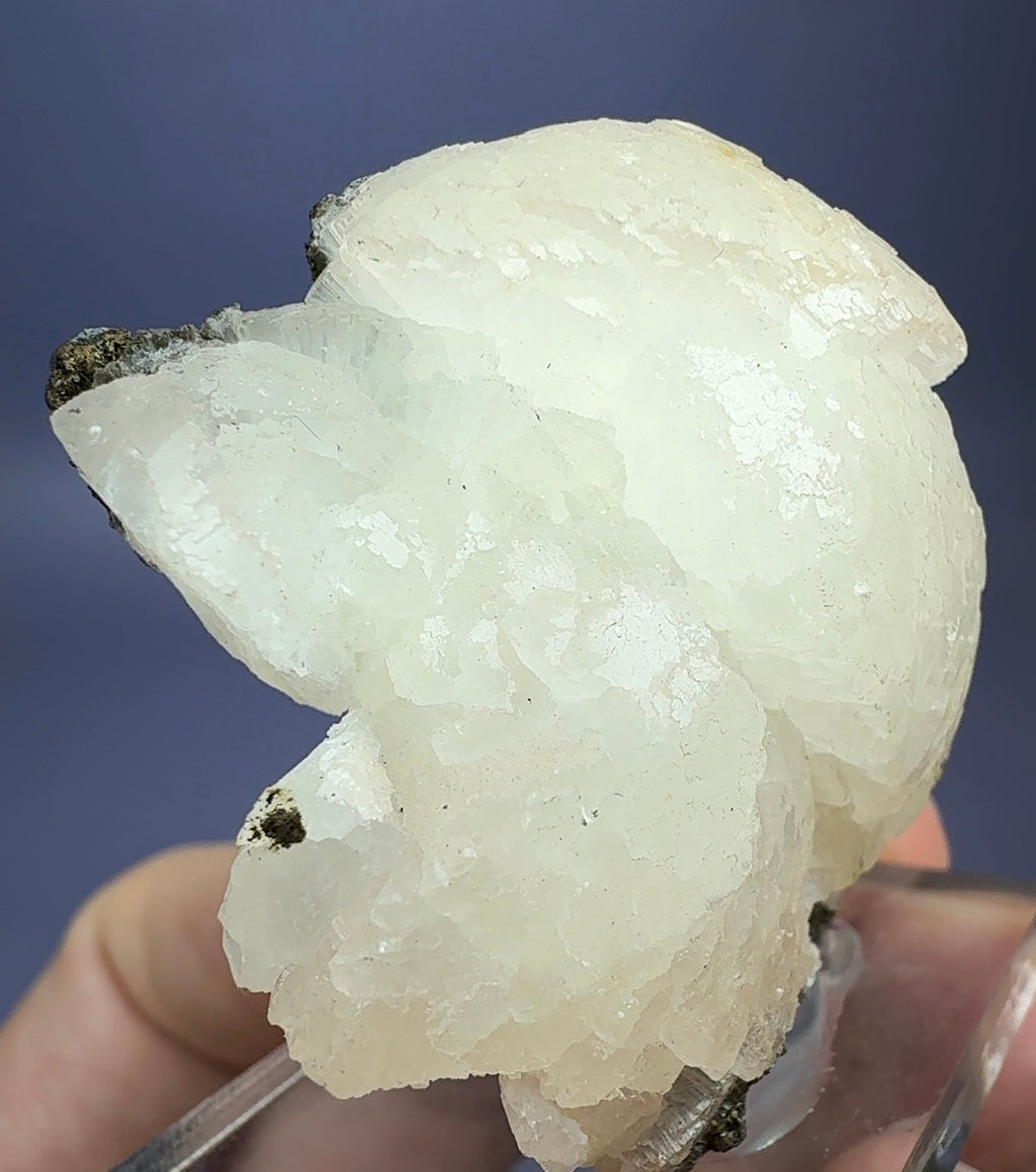 Auction Win: Stellerite (botryoidal)