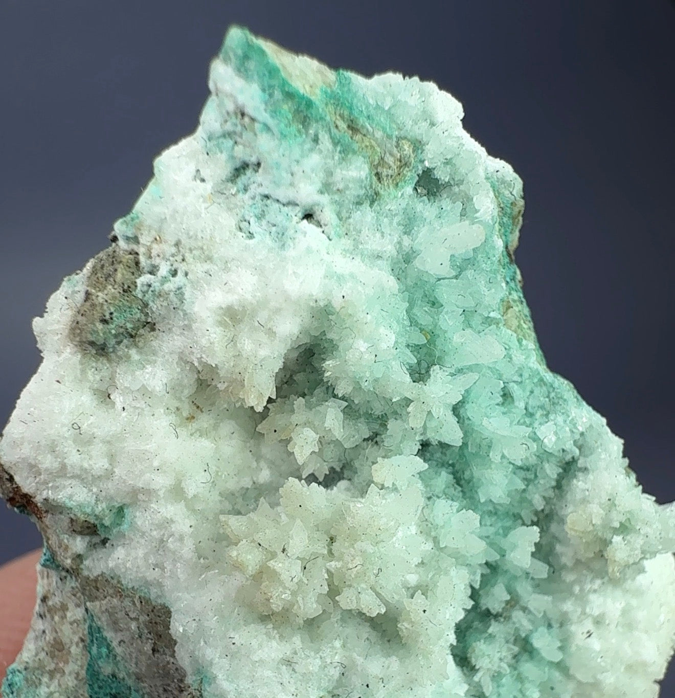 Auction Win: Chrysocolla included Selenite (uncommon locality)
