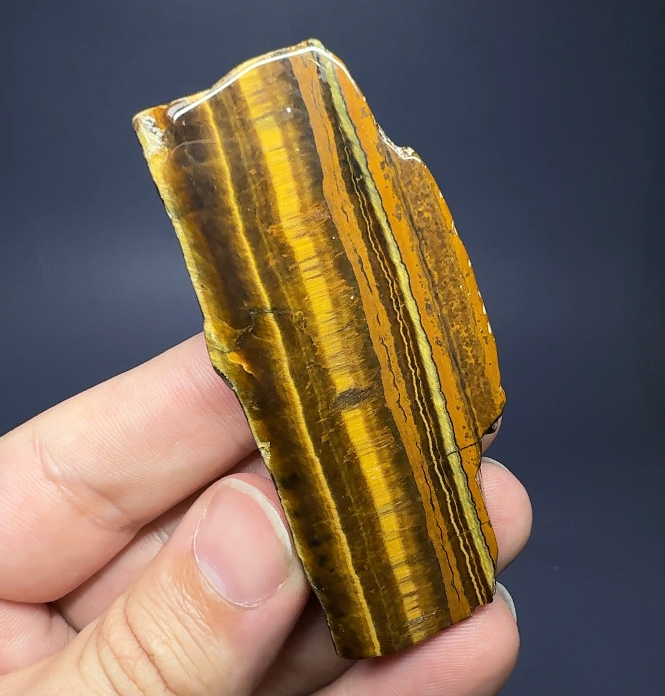 Auction Win: Tiger’s Eye ‘Bacon’ Slice