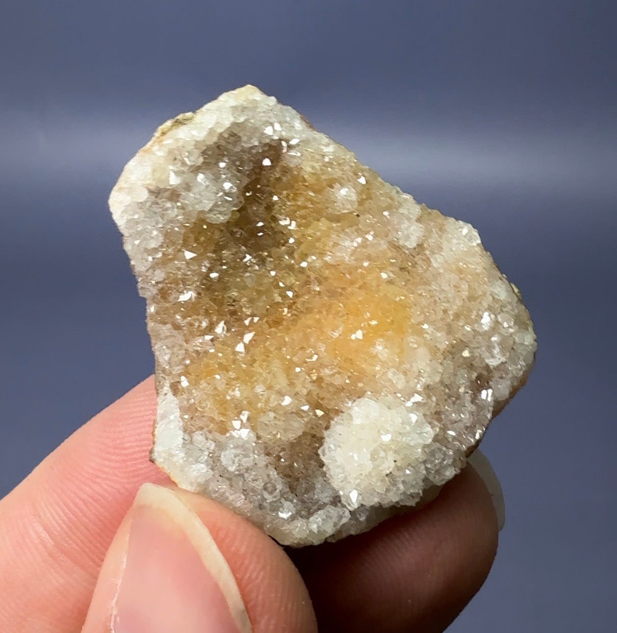 Auction Win: Quartz on Agatized Coral