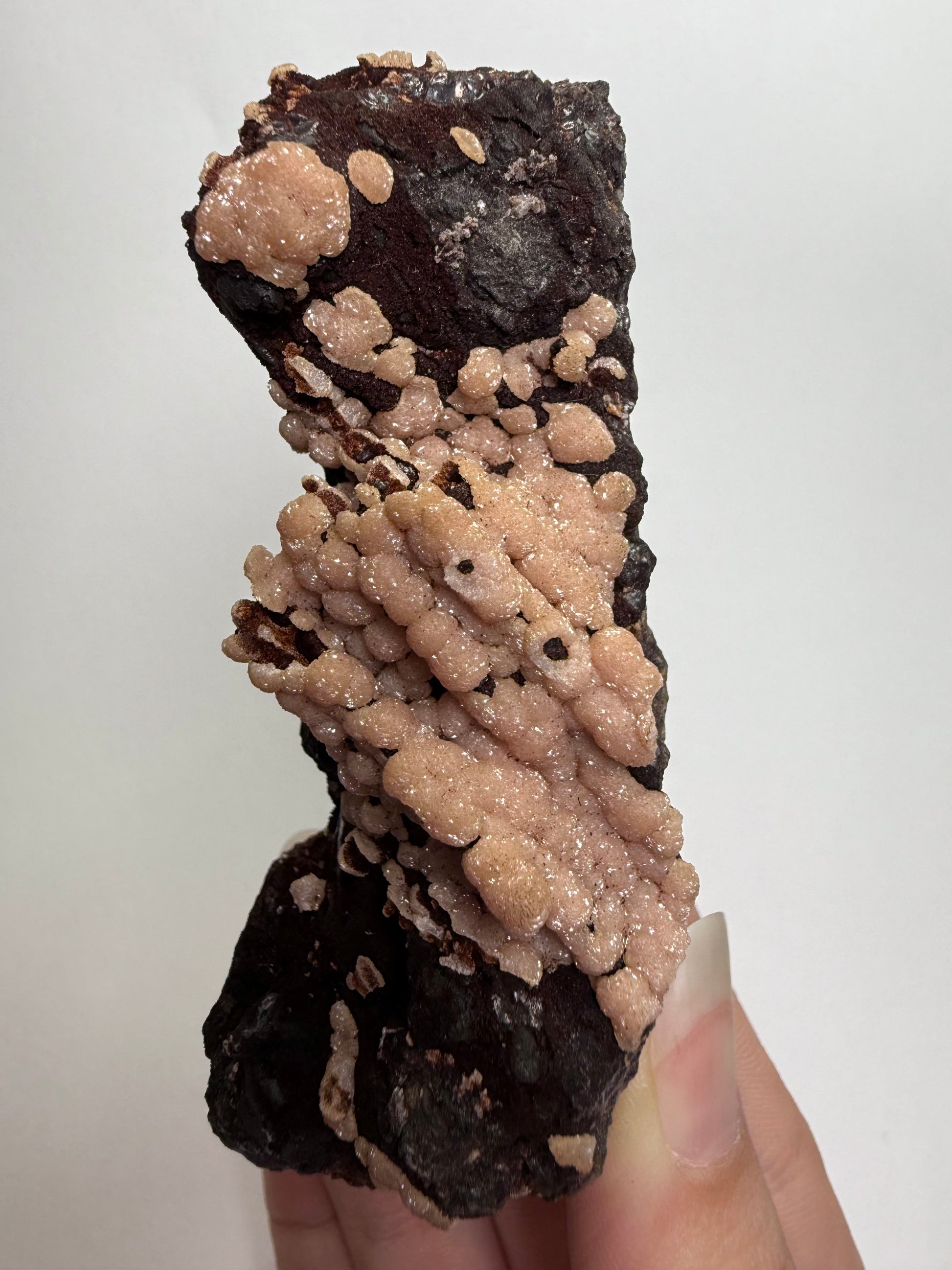 Auction Win: Rhodochrosite