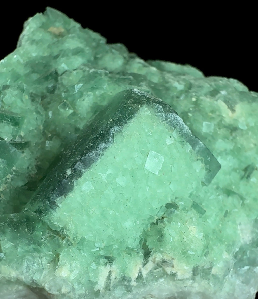 Auction Win: Fluorite