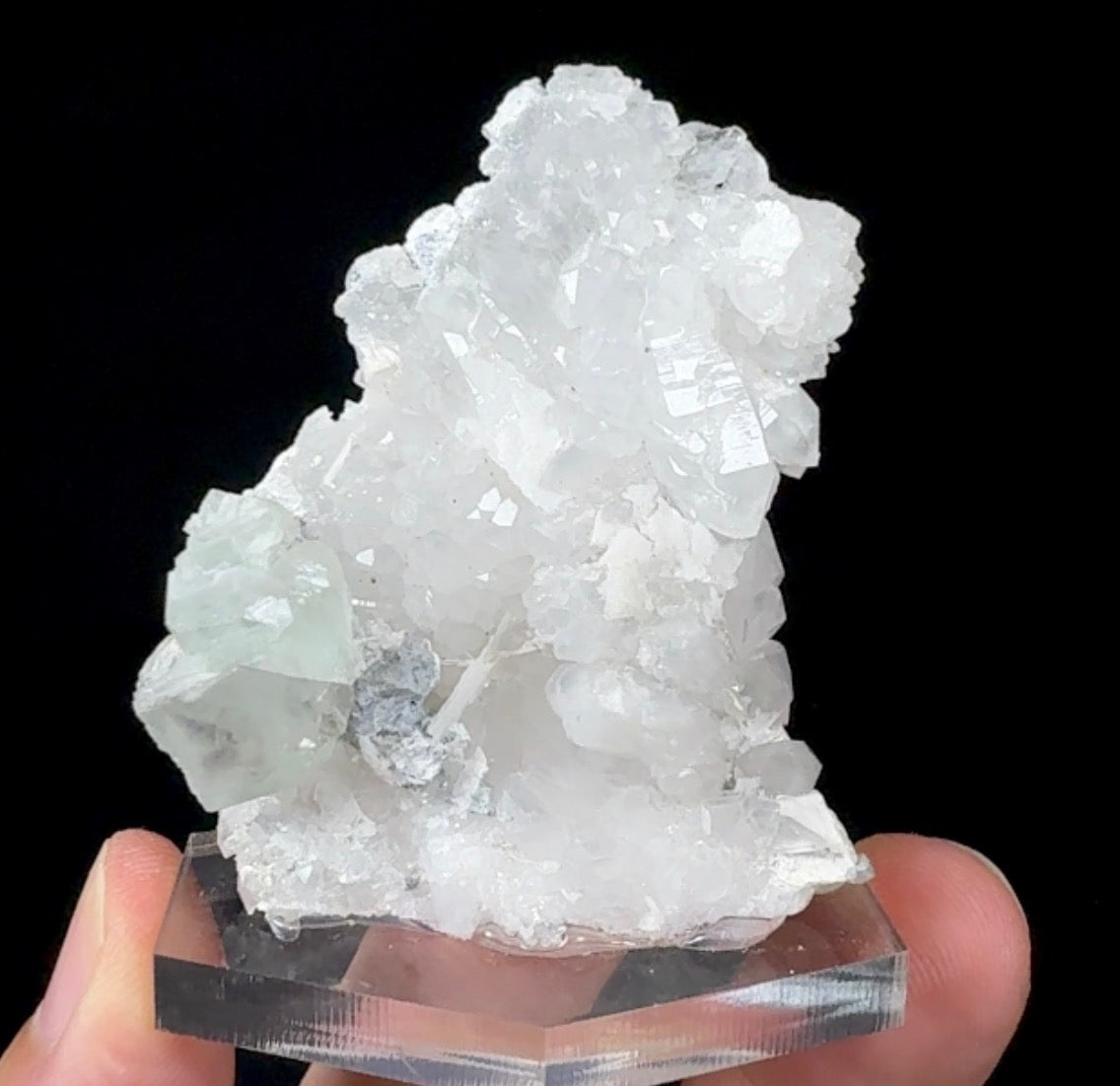 Auction Win: Fluorite on Quartz
