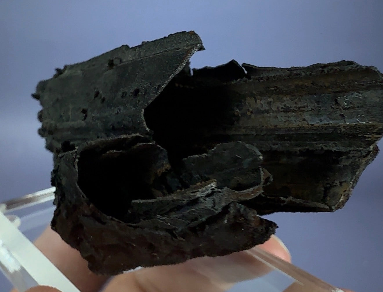 Goethite cast after Selenite (epimorph)