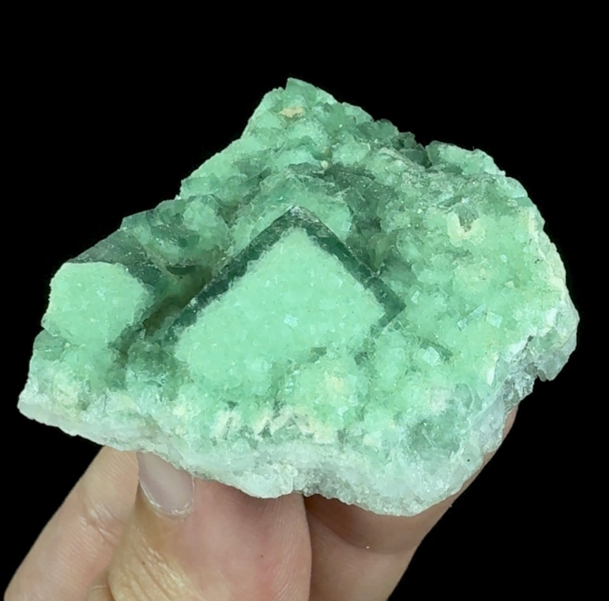 Auction Win: Fluorite