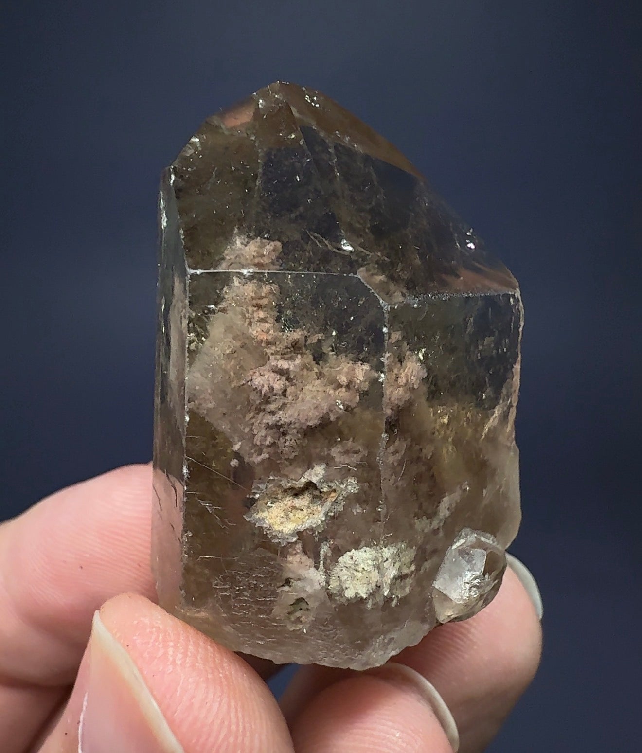 Auction Win: Lodolite