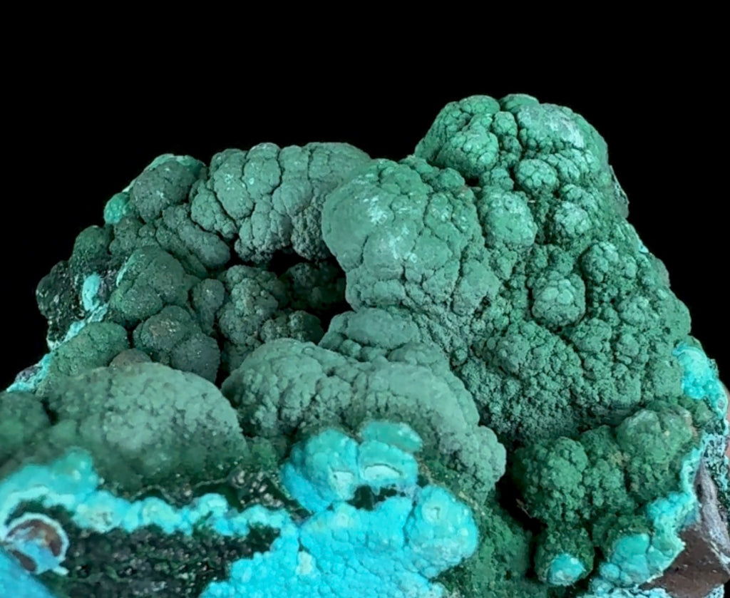 Auction Win: Malachite on Chrysocolla