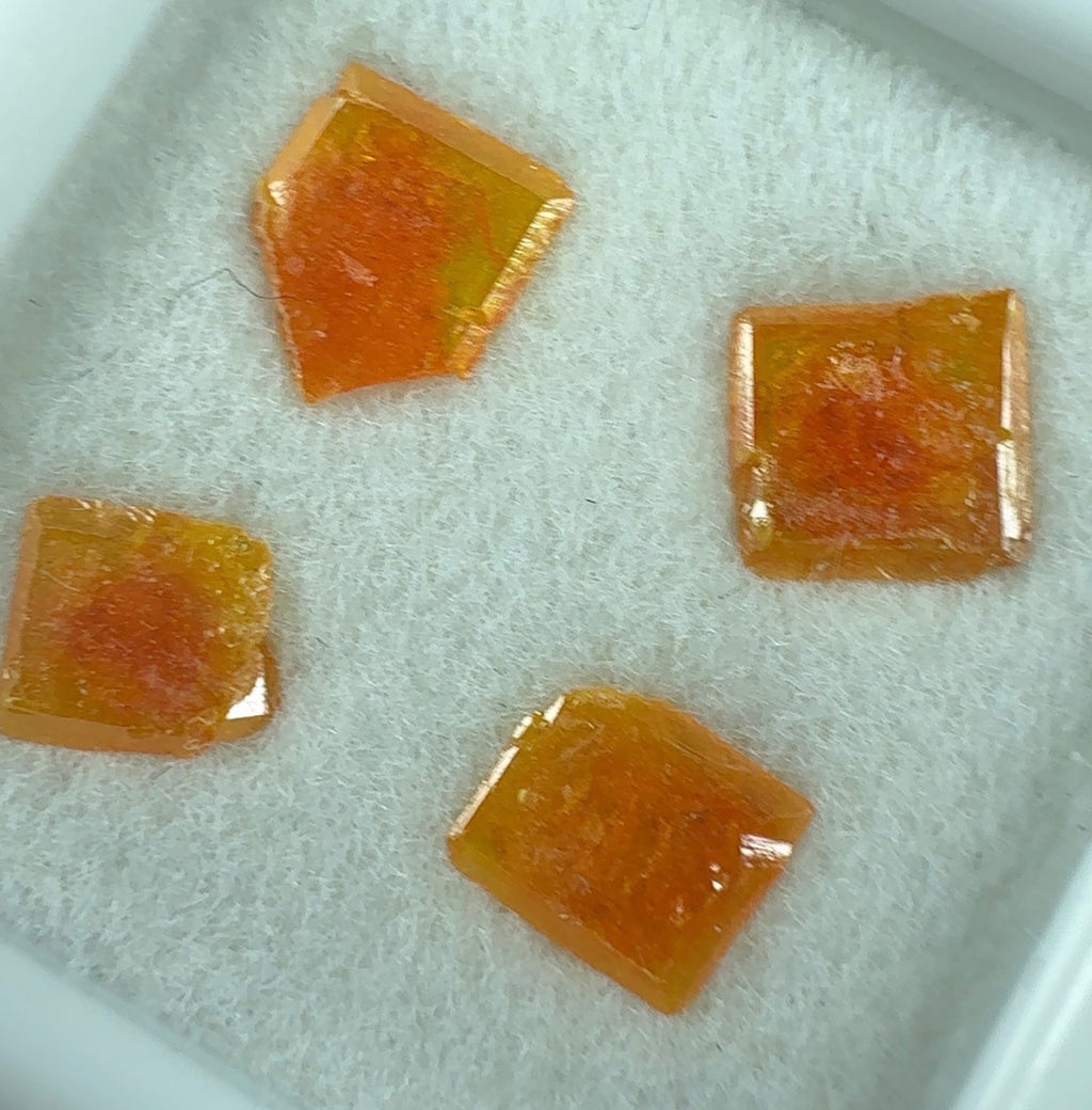 Auction Win: Wulfenite (Red-Centered Windowpanes)