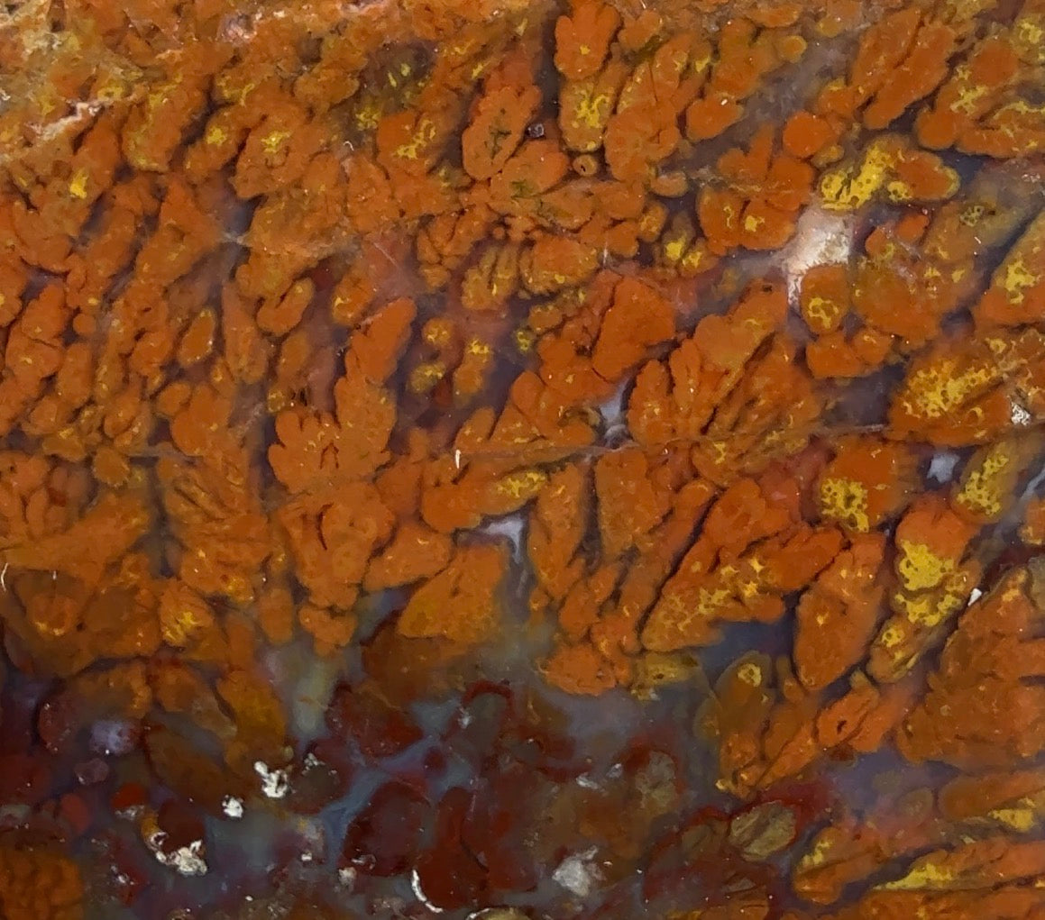 Auction Win: Plume Agate Cabachon