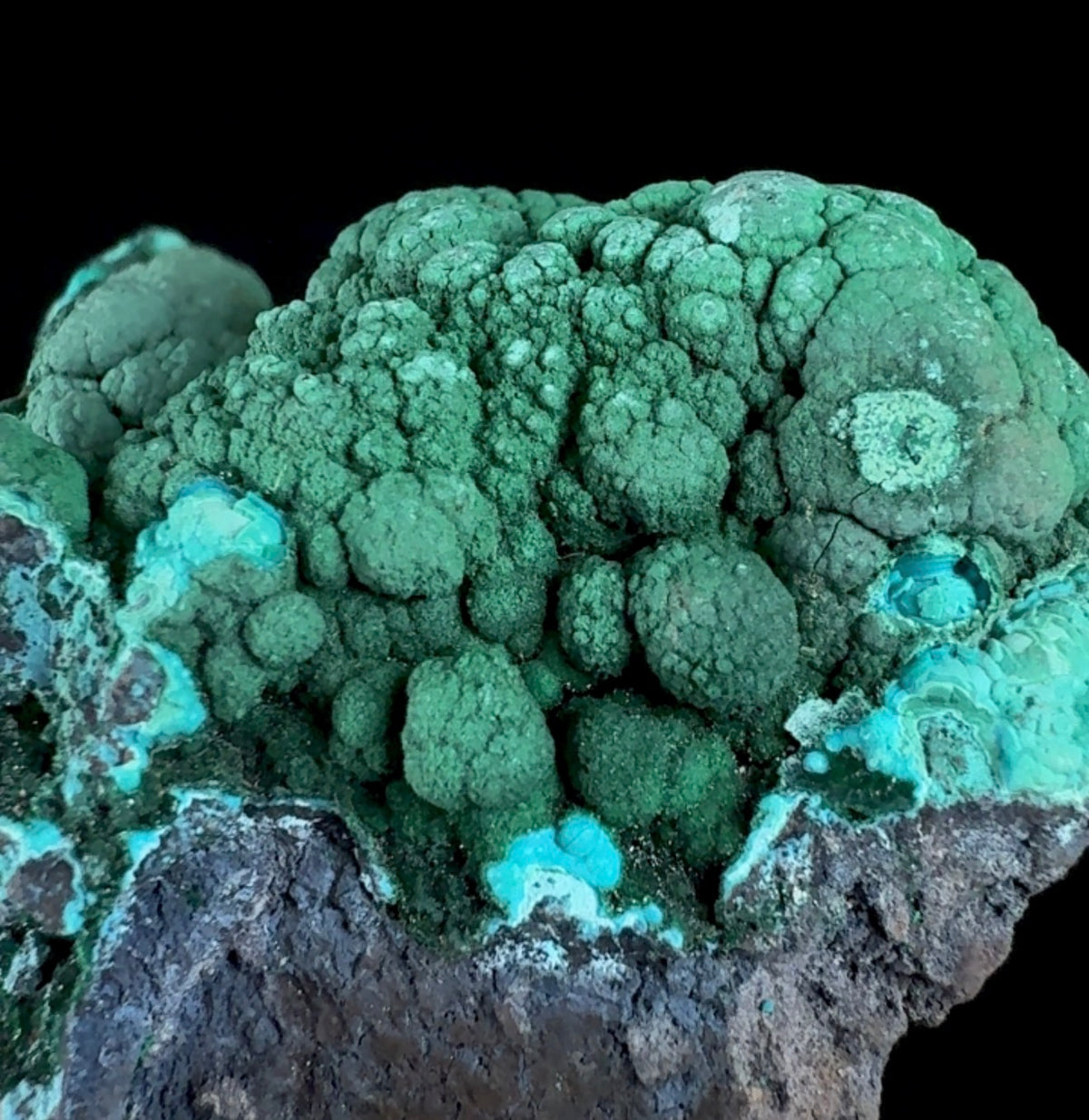 Auction Win: Malachite on Chrysocolla