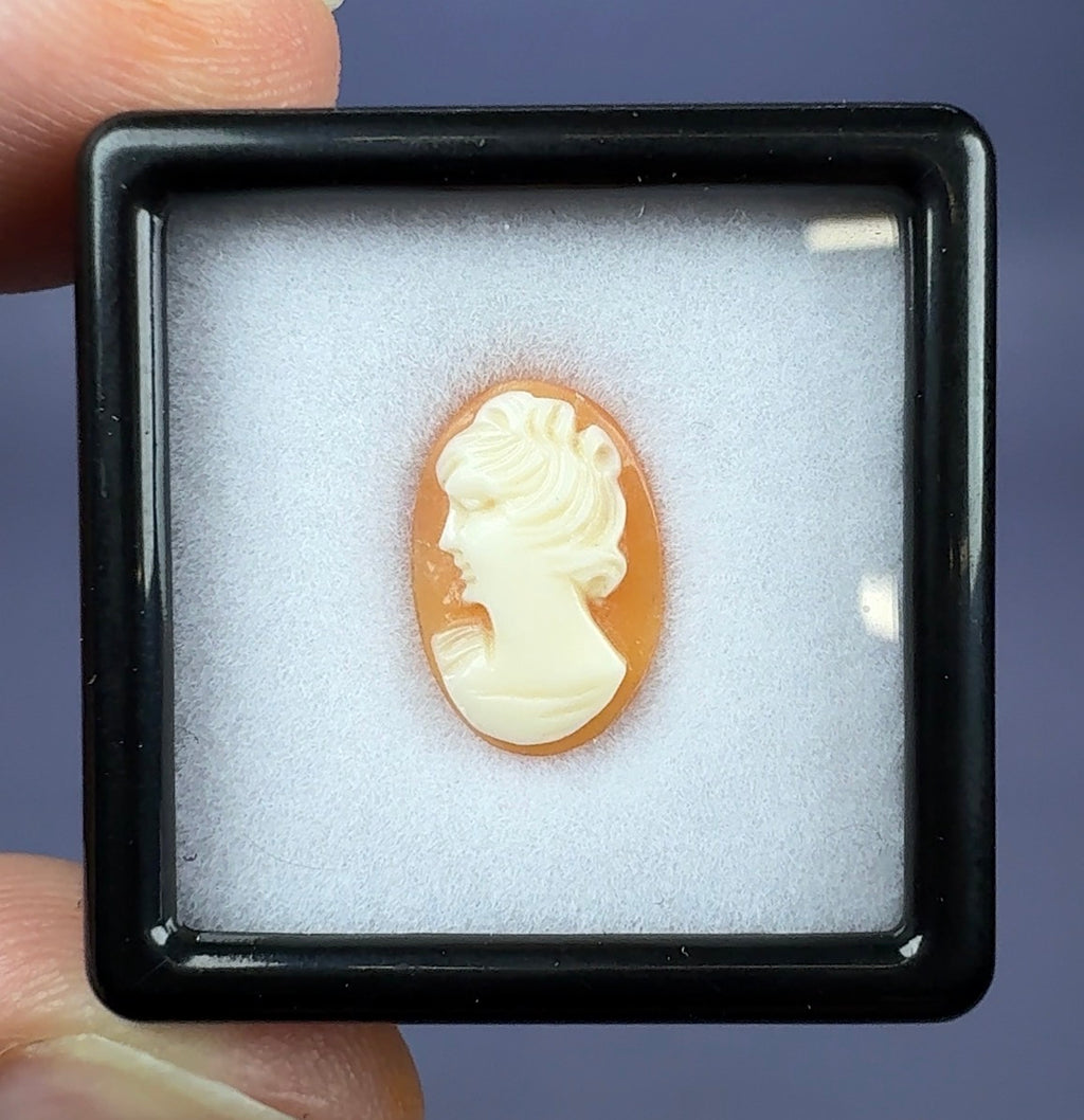 Auction Win: Antique Cameo (circa. 1880-1920’s) 2.05ct