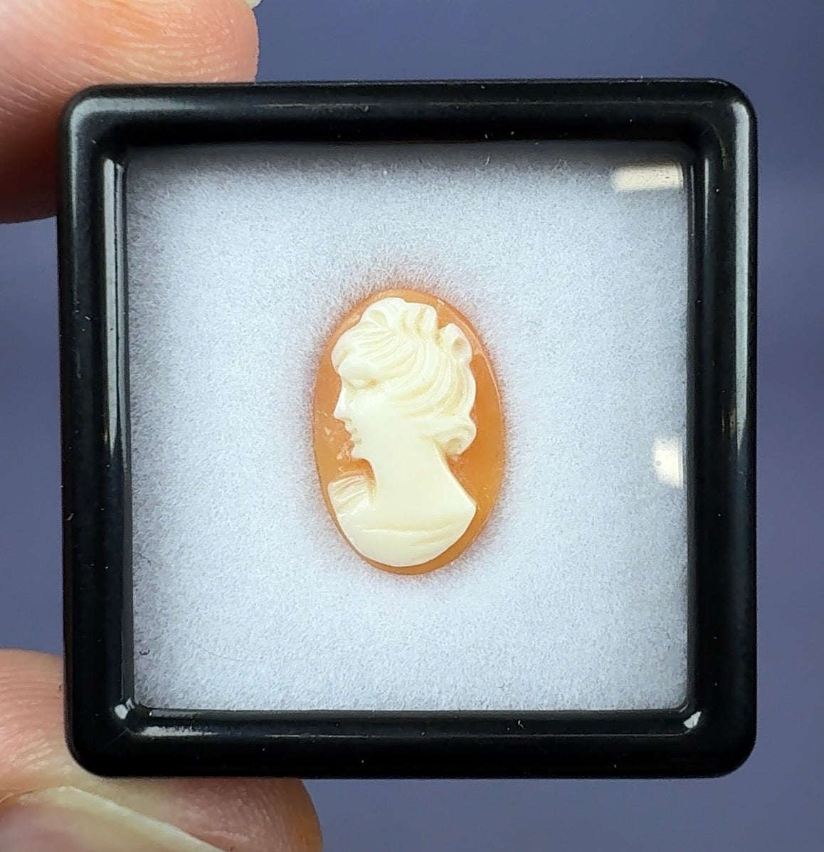 Auction Win: Antique Cameo (circa. 1880-1920’s) 2.05ct