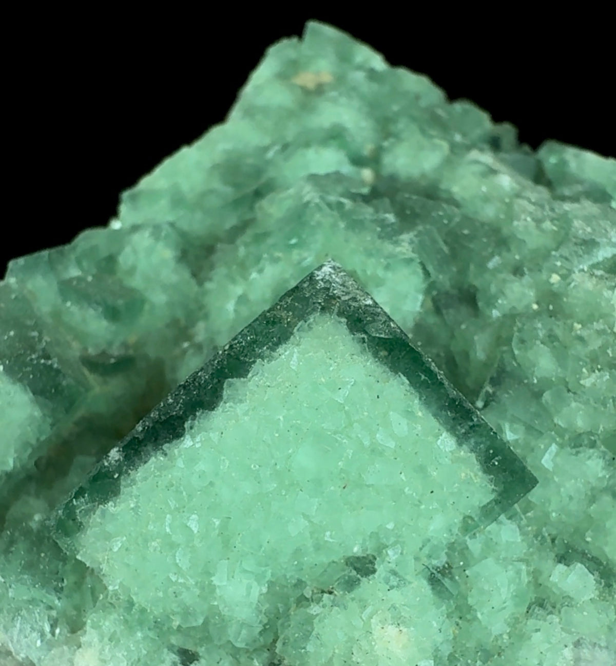 Auction Win: Fluorite