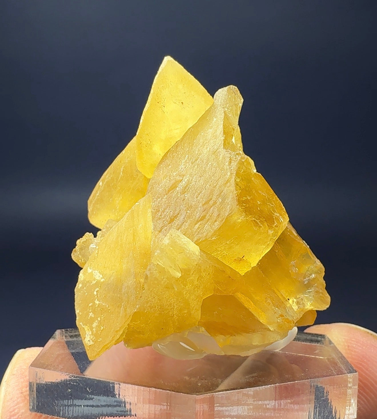 Auction Win: Calcite