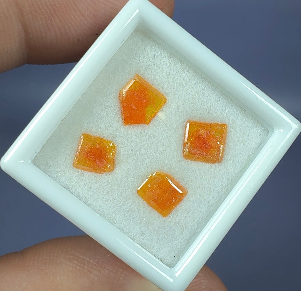 Auction Win: Wulfenite (Red-Centered Windowpanes)