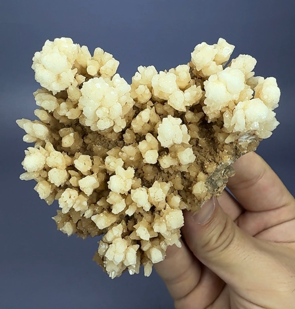 Auction Win: Aragonite