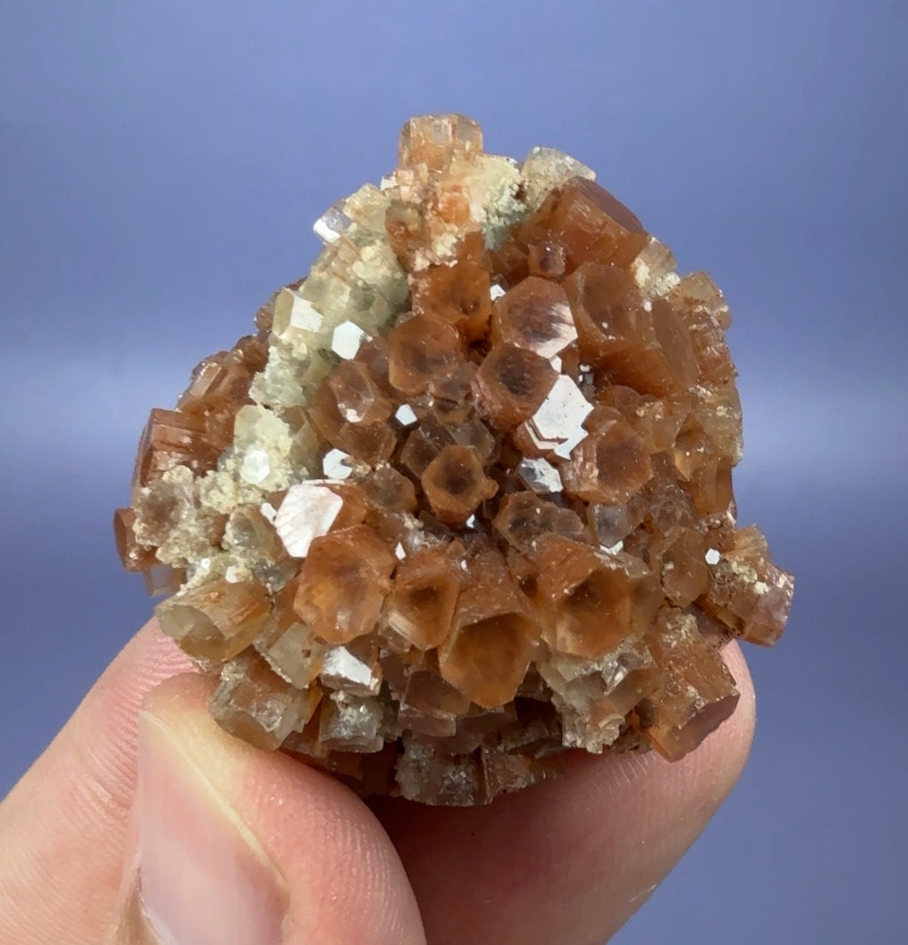 Auction Win: Bi-color ‘Star’ Aragonite