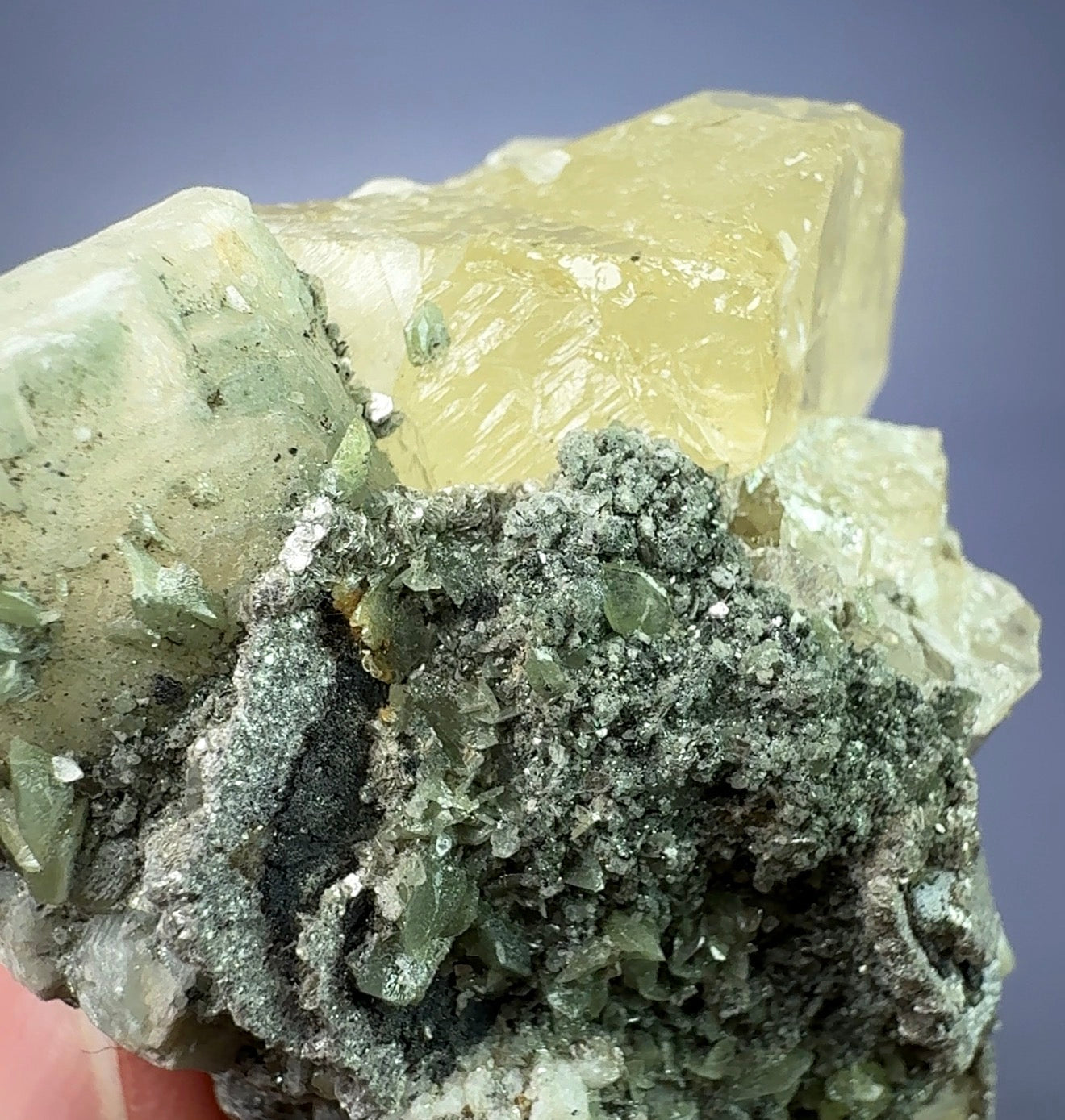 Auction Win: Yellow Apatite with Titanite (new release!)