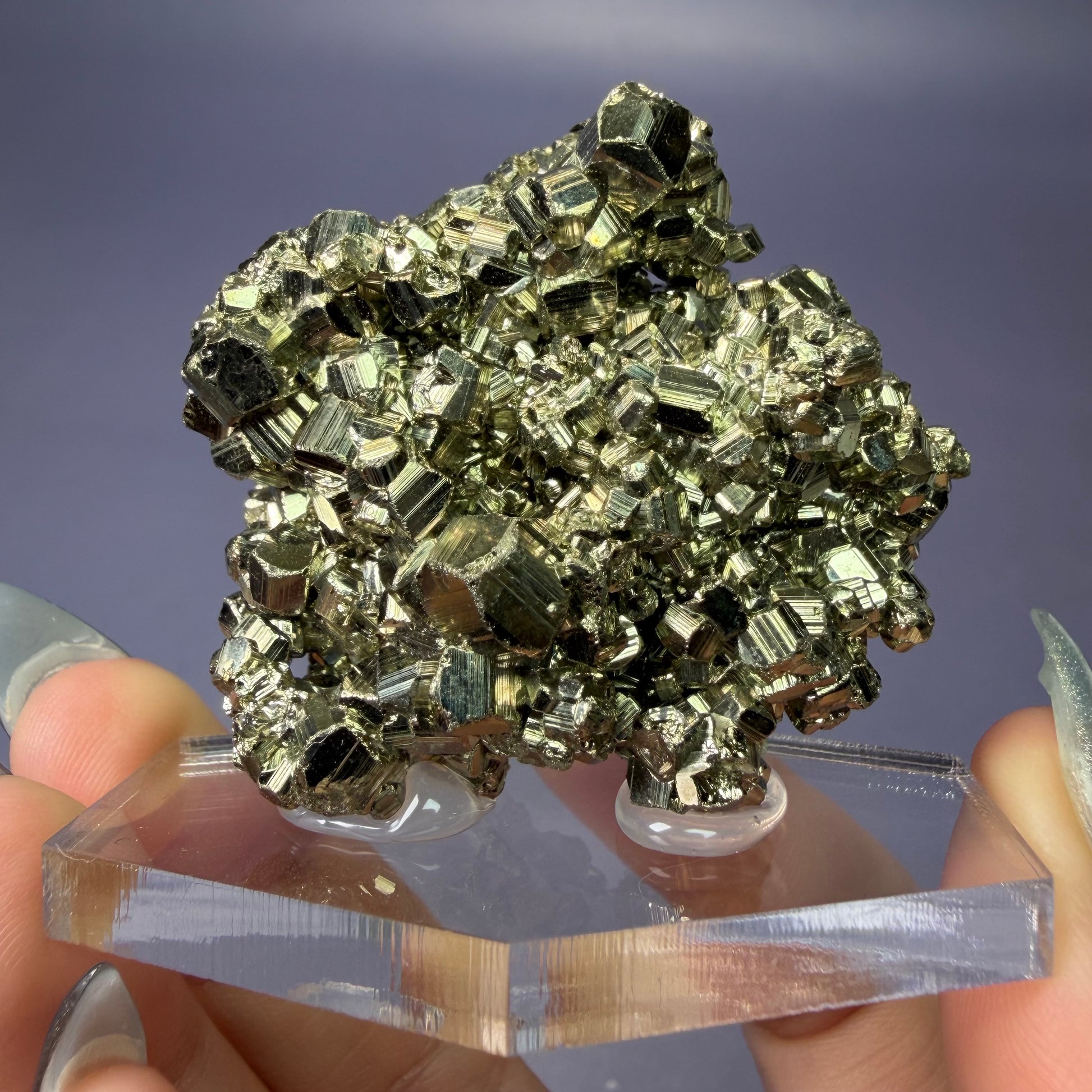Auction Win: Pyrite (with Quartz)