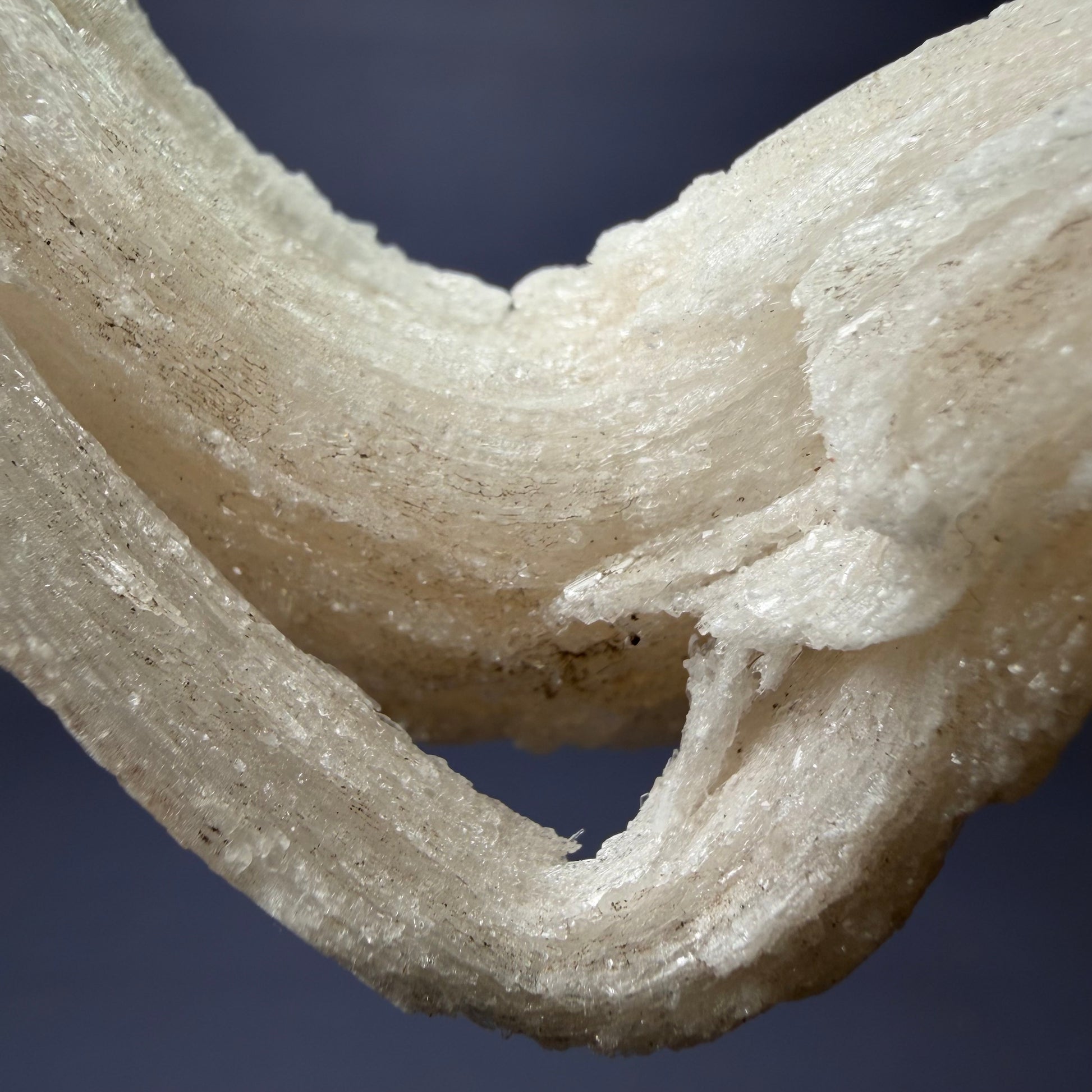 Auction Win: Gypsum var. “Ram’s Horn” Selenite with Nováčekite (Fluorescent and Phosphorescent)