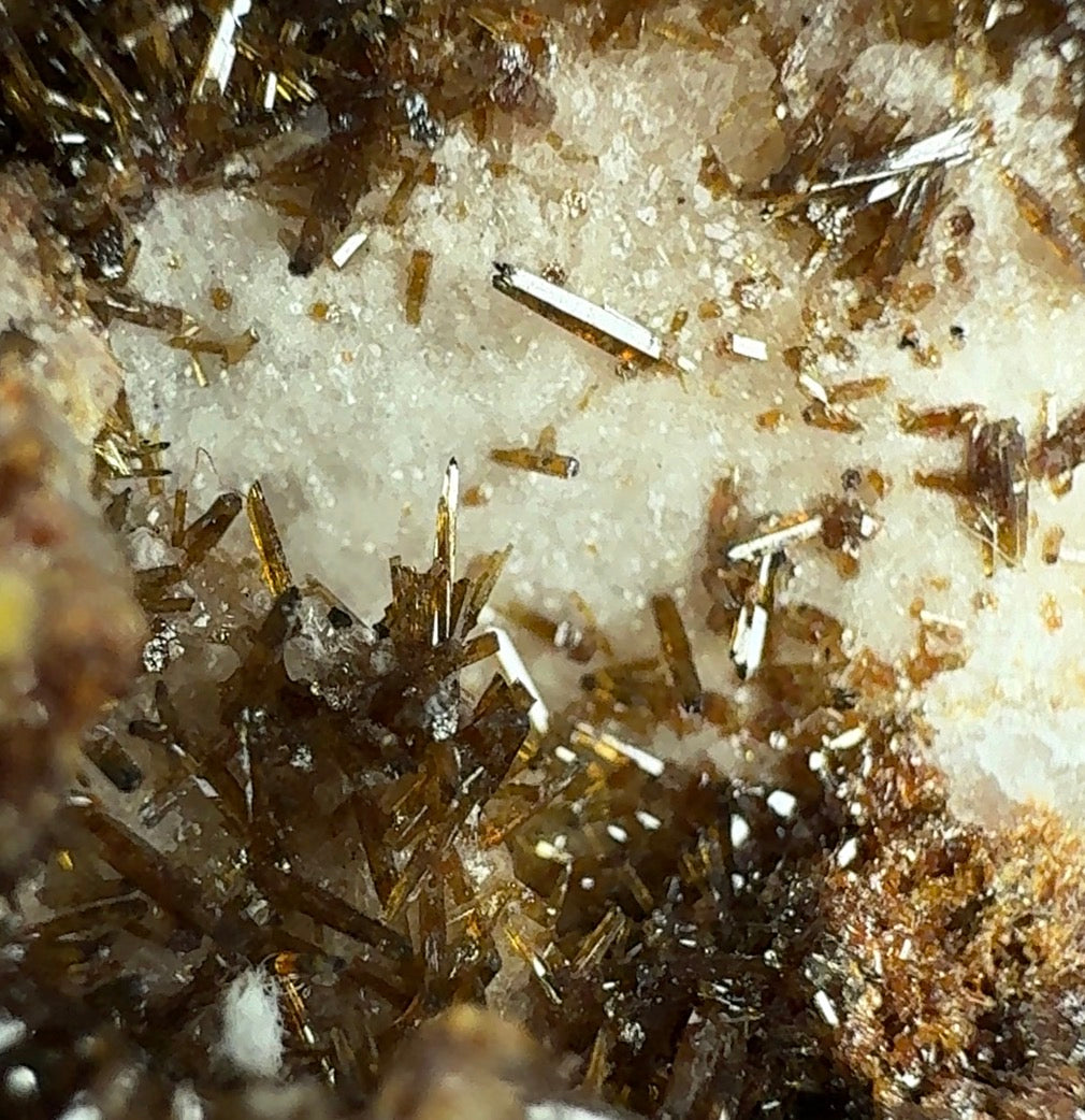 Auction Win: Endlichite with Mimetite