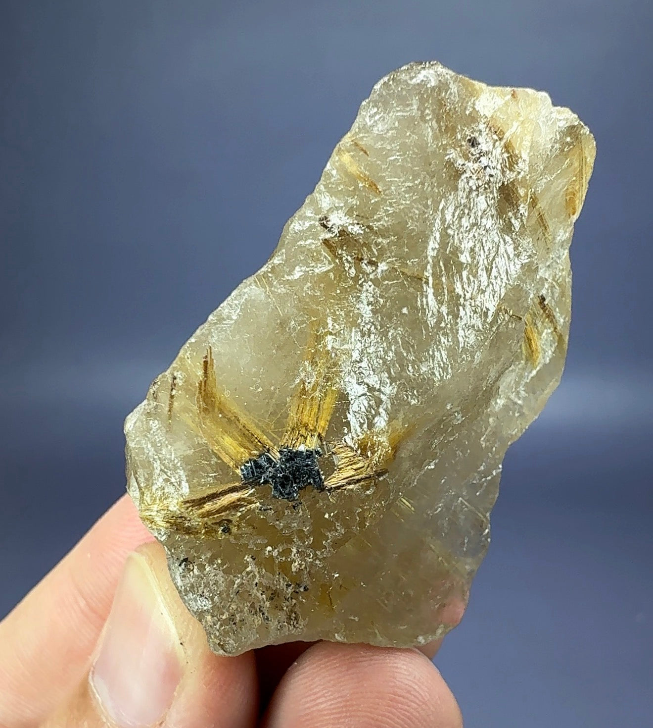 Auction Win: ‘Star’ Rutile in Quartz