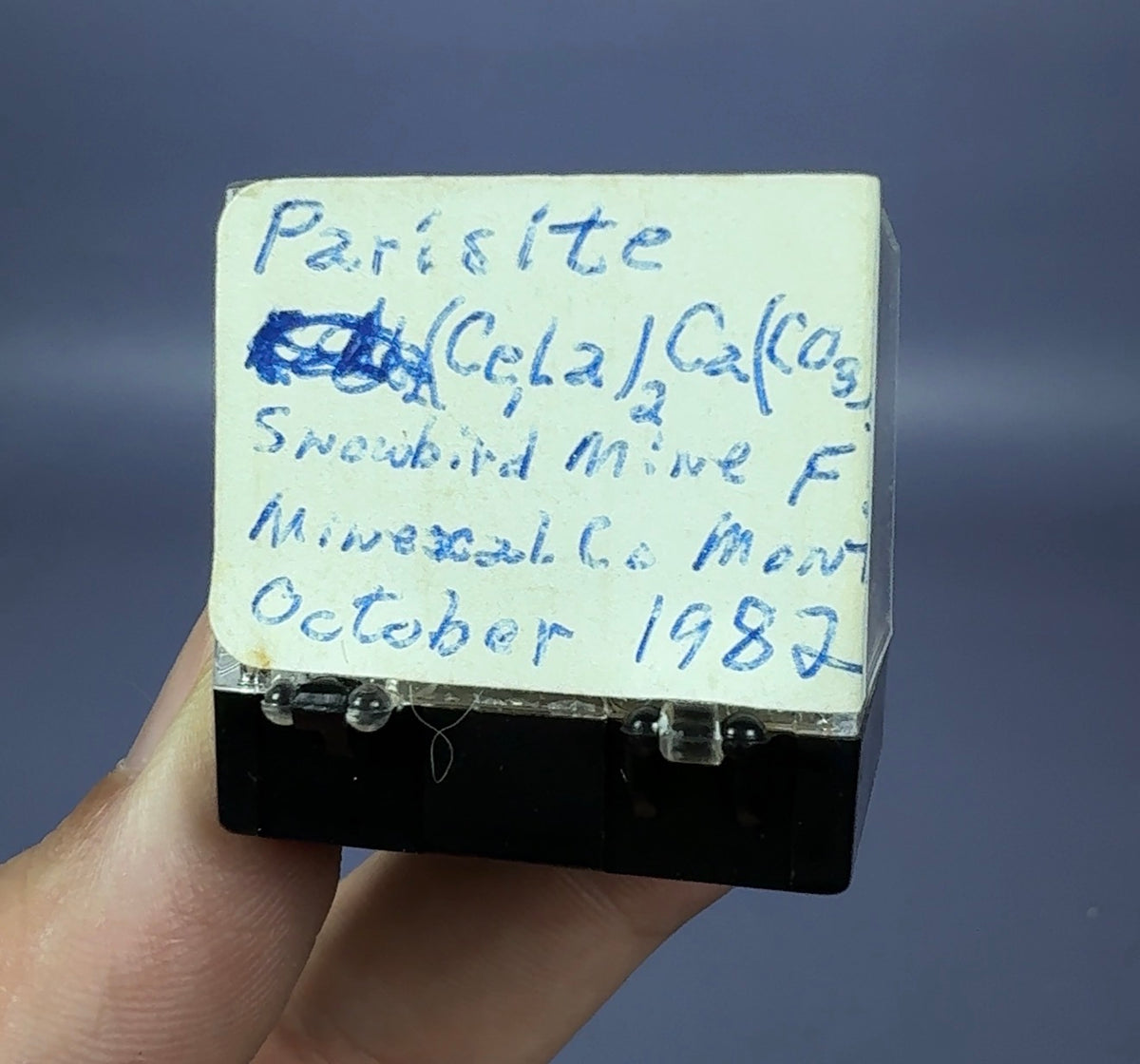 Auction Win: Parisite (mined October 1982)