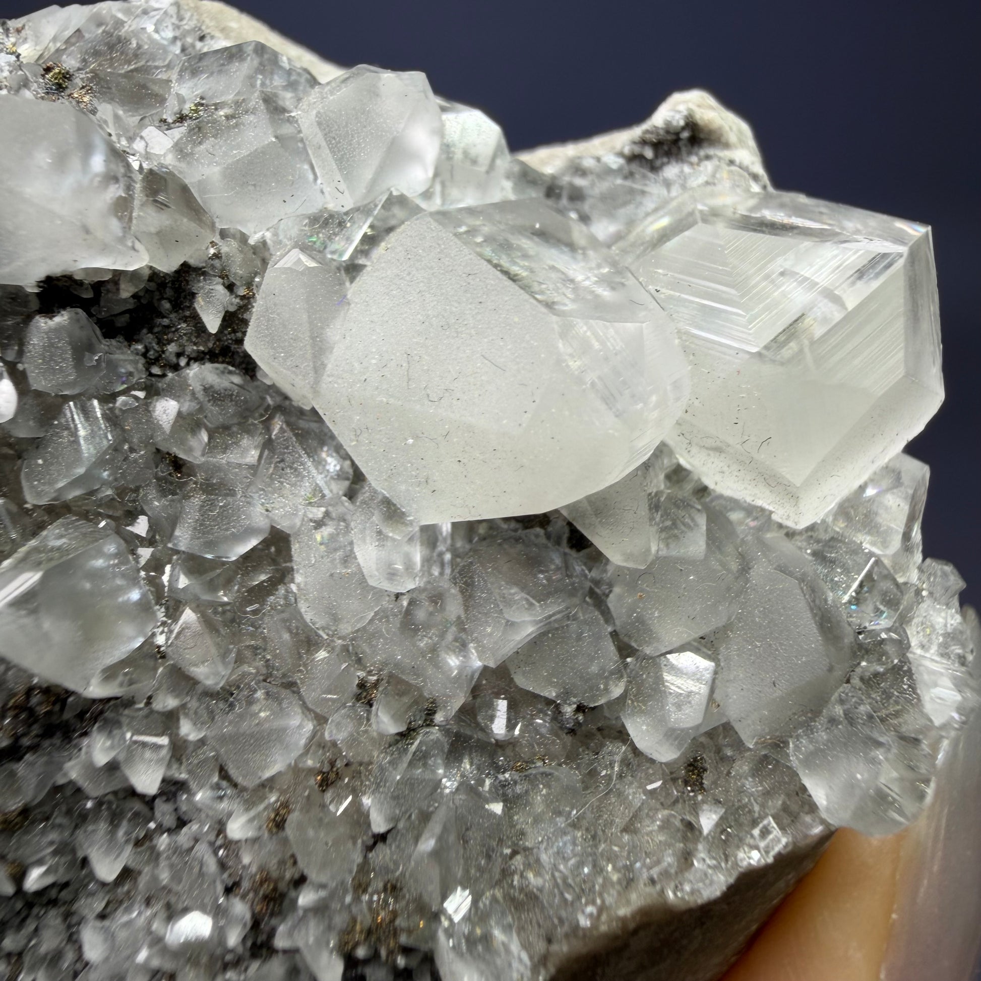 Auction Win: Calcite with Marcasite