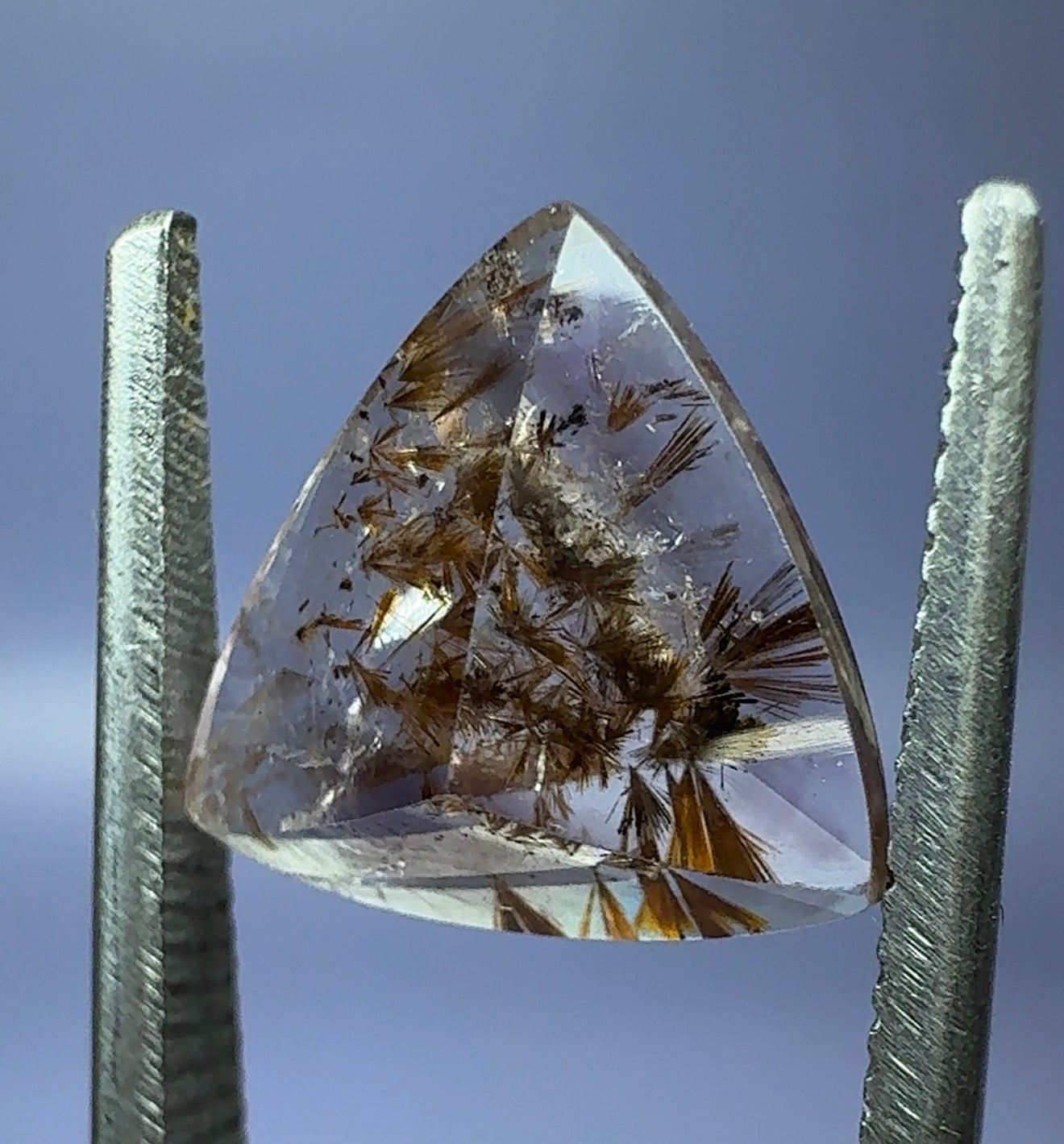 Goethite in Amethyst (with phantom) 3.00ct