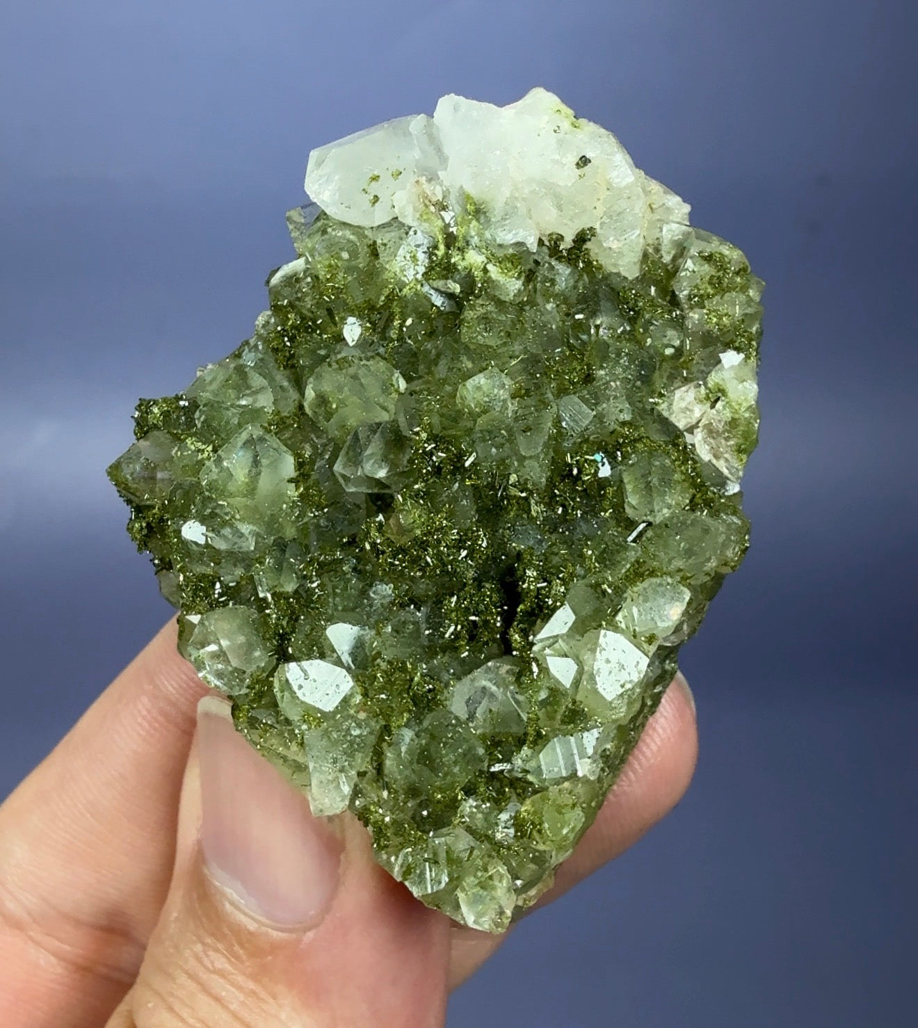 ‘Forest’ Epidote with Quartz