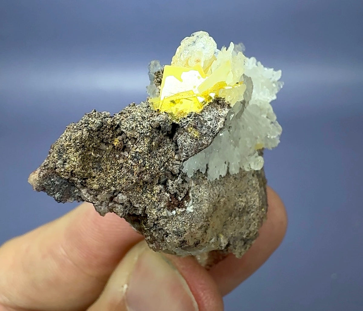 ‘Windowpane’ Wulfenite with Calcite (mined by Sam Rua in 1960’s)